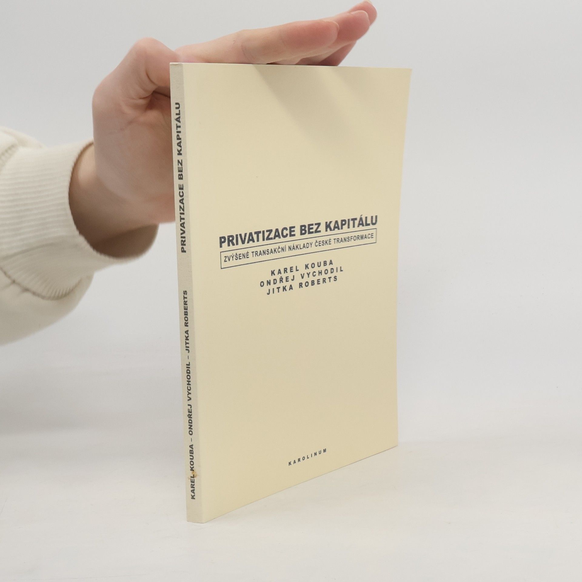 Privatizace bez kapitálu