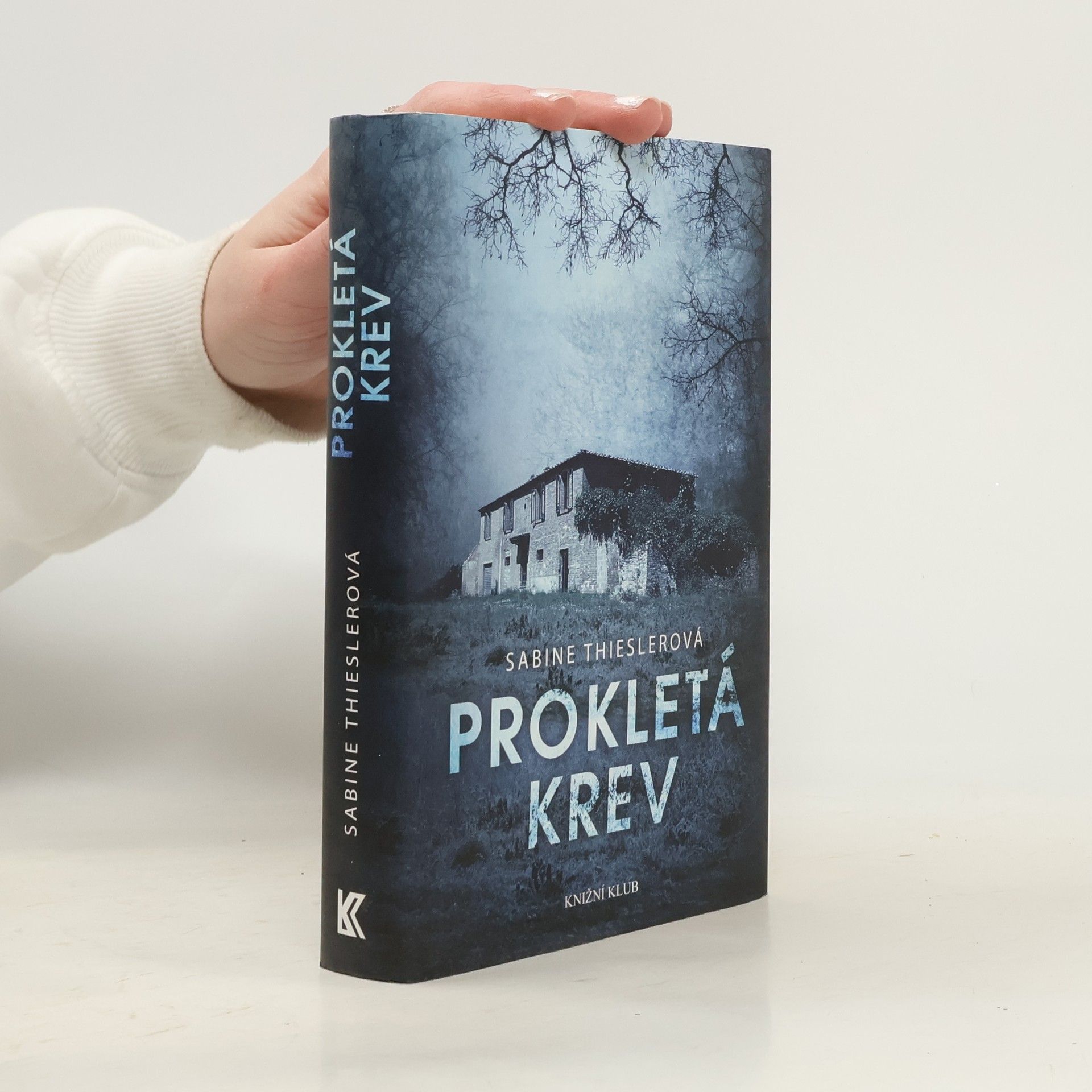 Sabine Thiesler Prokletá krev
