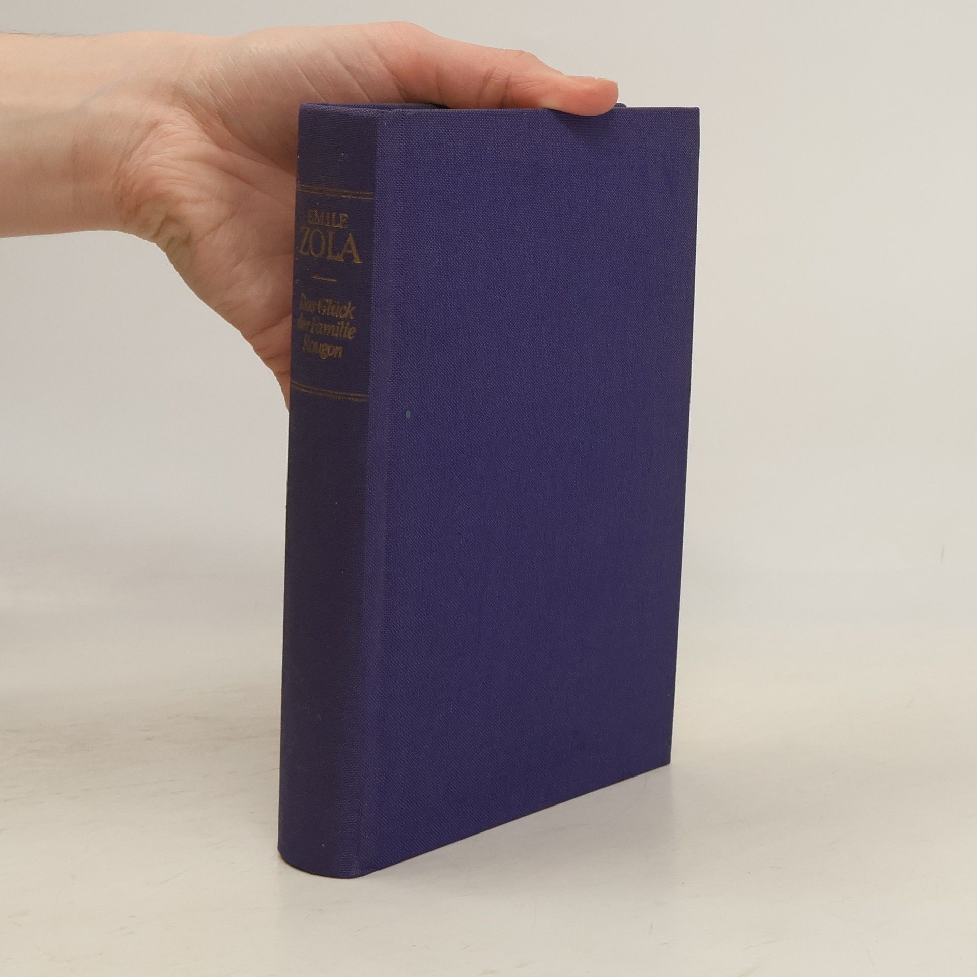 Émile Zola Das Glück der Familie Rougon