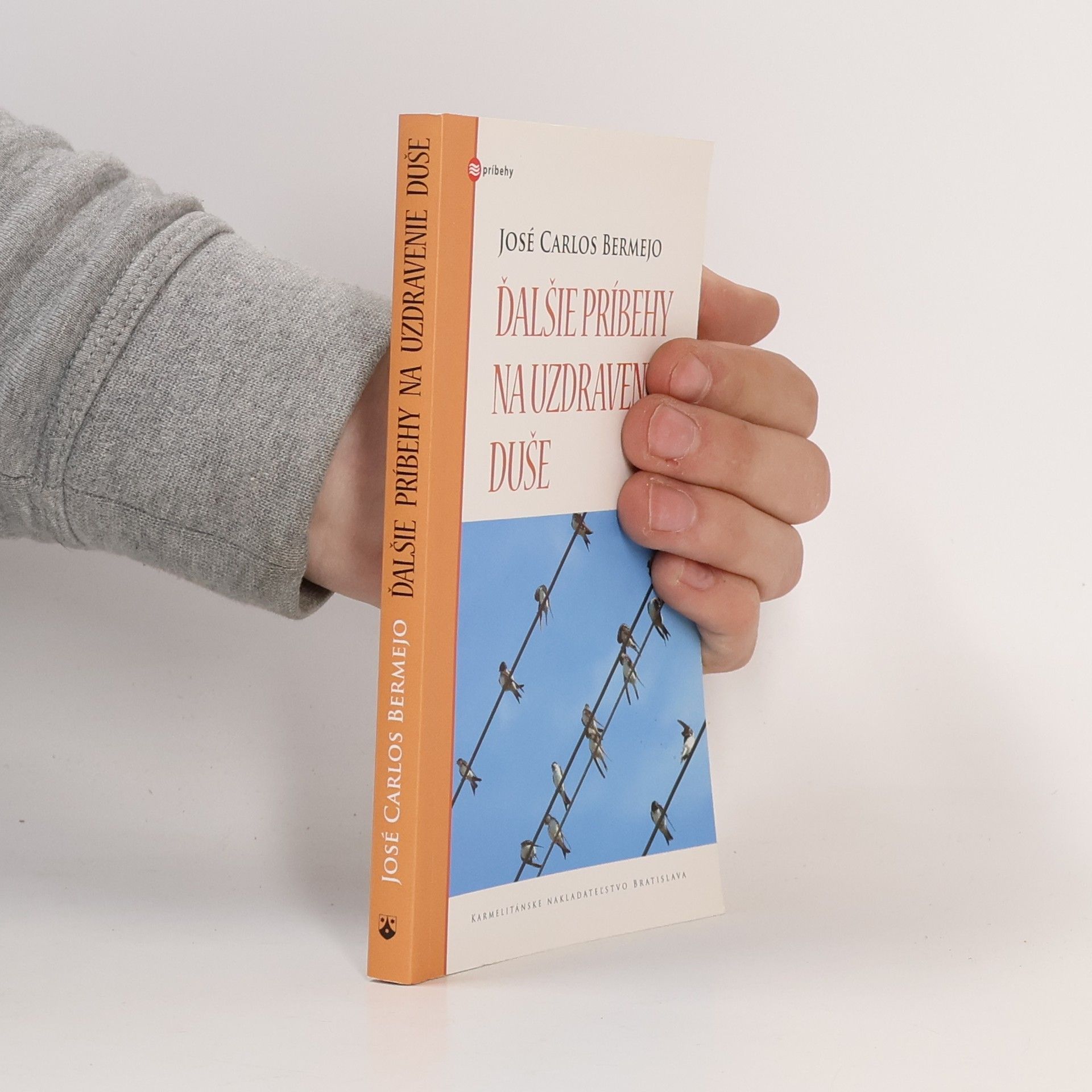 José Carlos Bermejo Higuera Ďalšie príbehy na uzdravenie duše