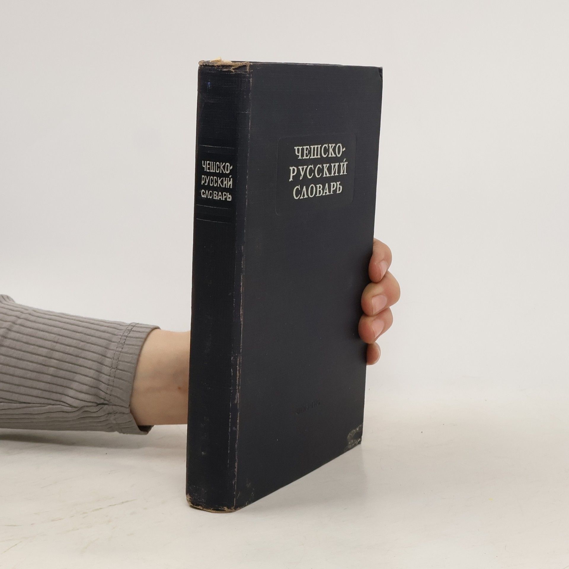 Kolektív autorov Чешско-русский словарь