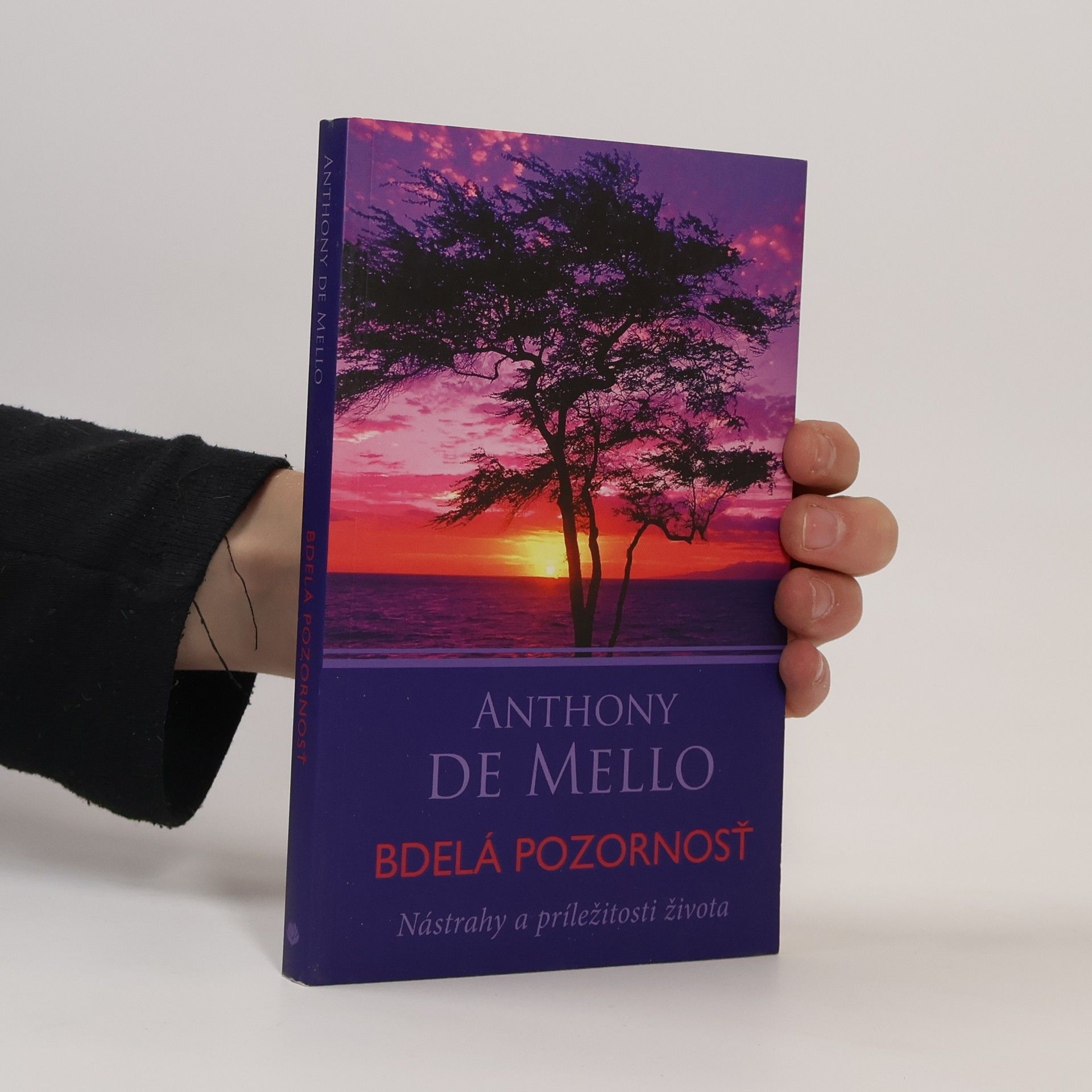 Anthony de Mello Bdelá pozornosť