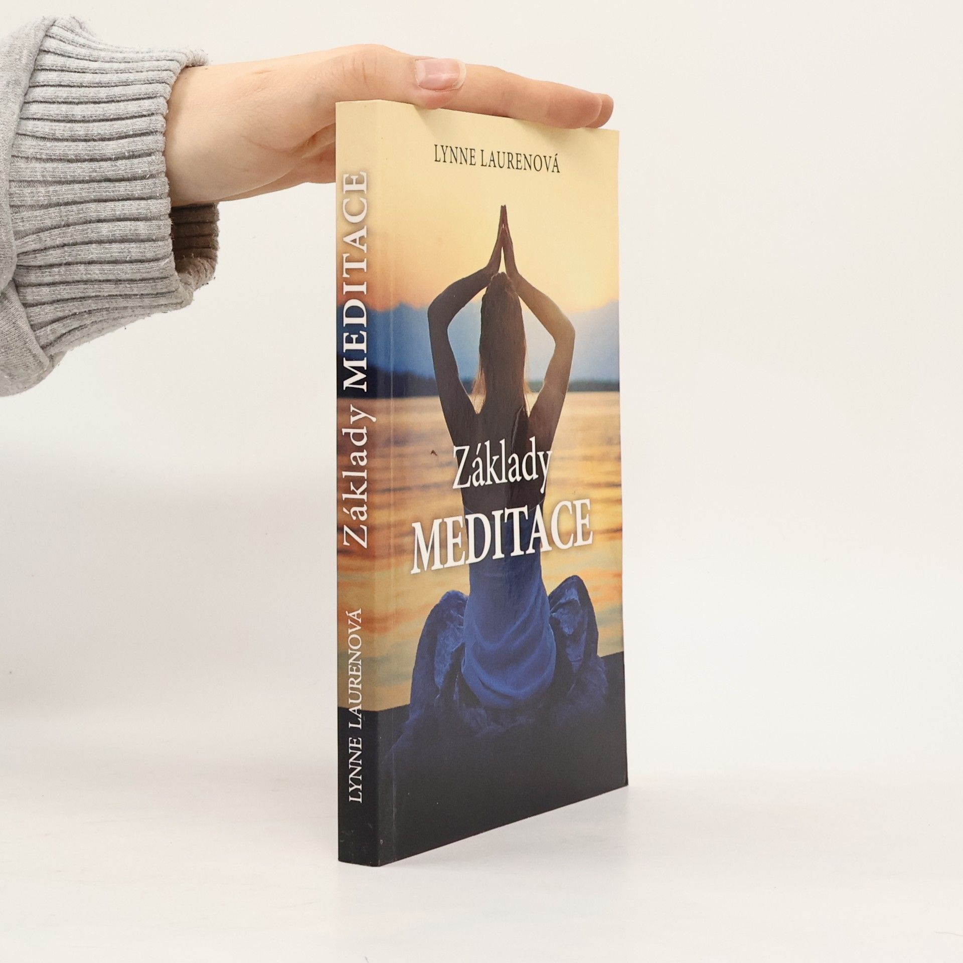 Lynne Lauren Základy meditace