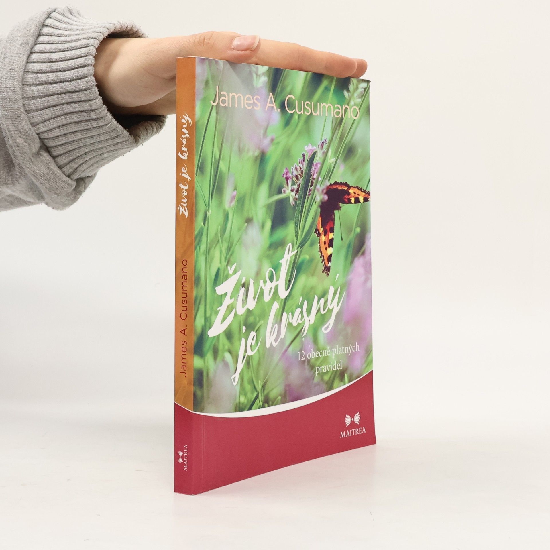 Život je krásný : 12 obecně platných pravidel