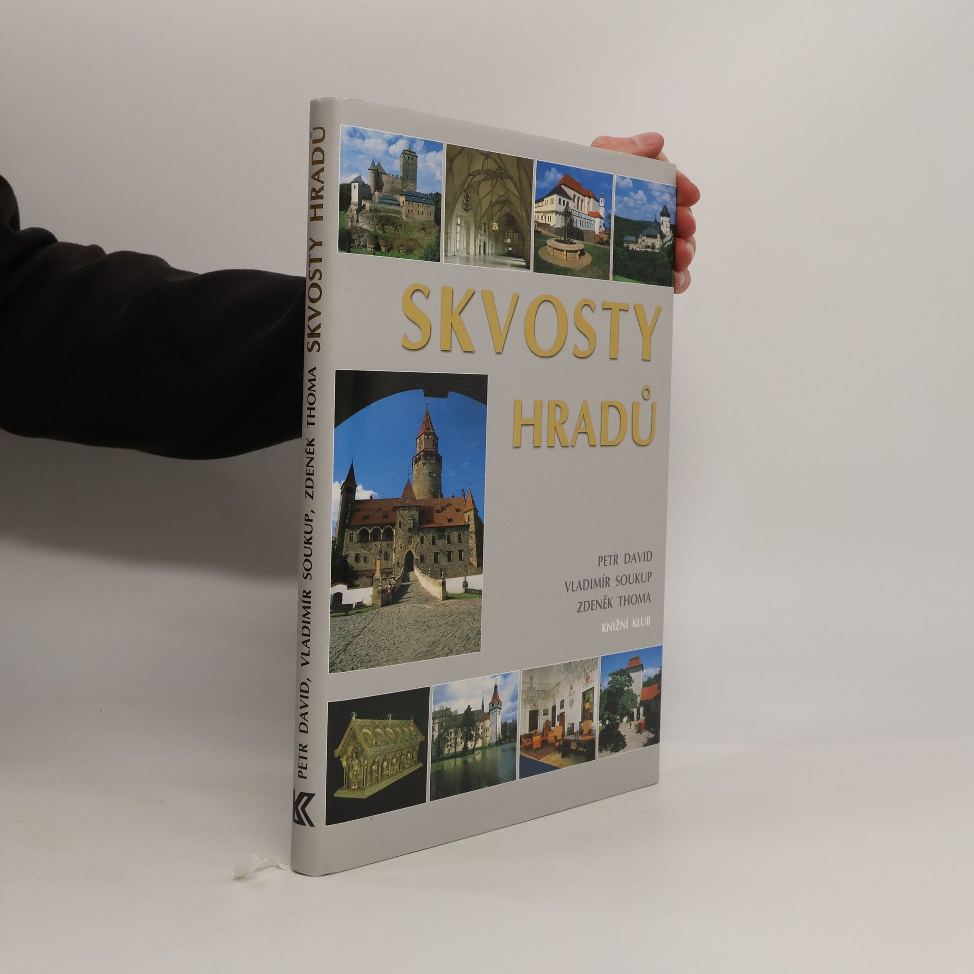 Petr David Skvosty hradů