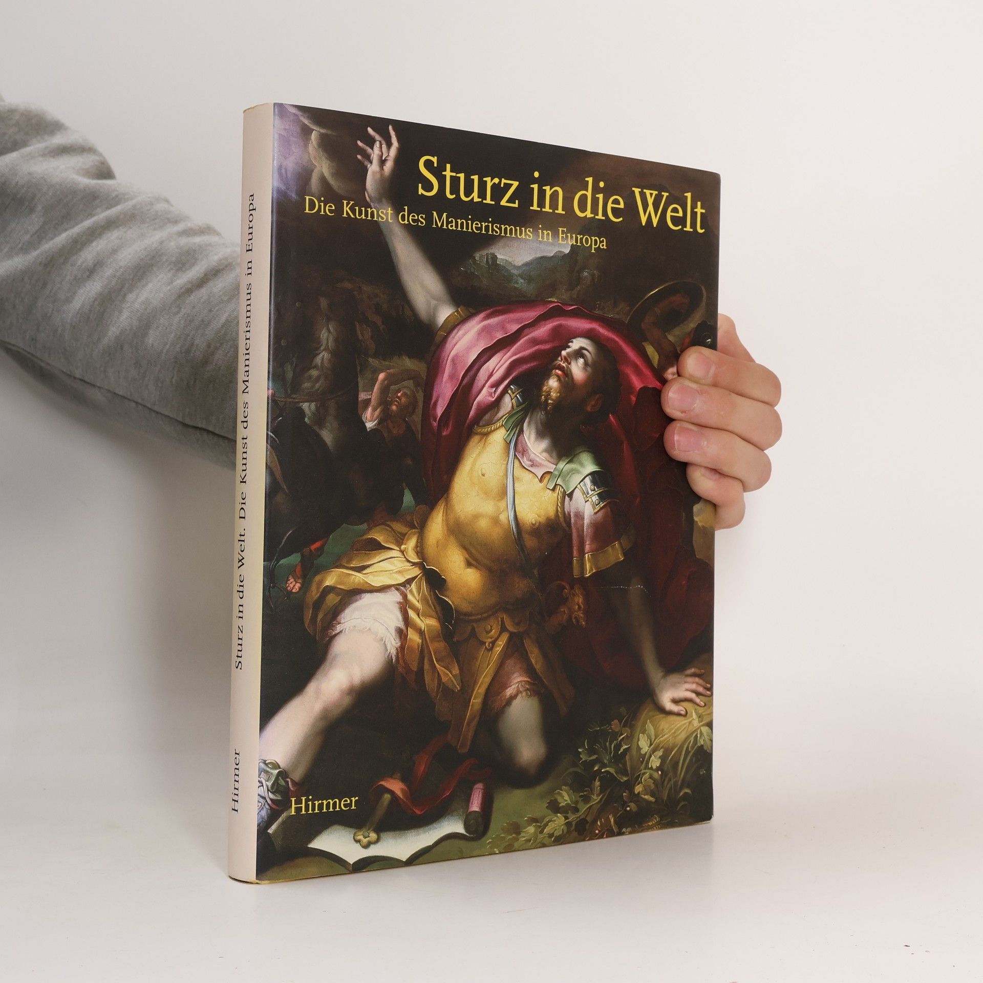 Michael Philipp Sturz in die Welt