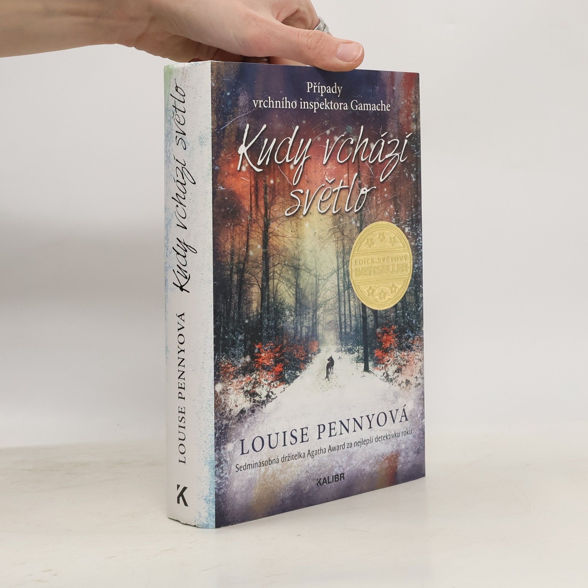 Louise Penny Kudy vchází světlo