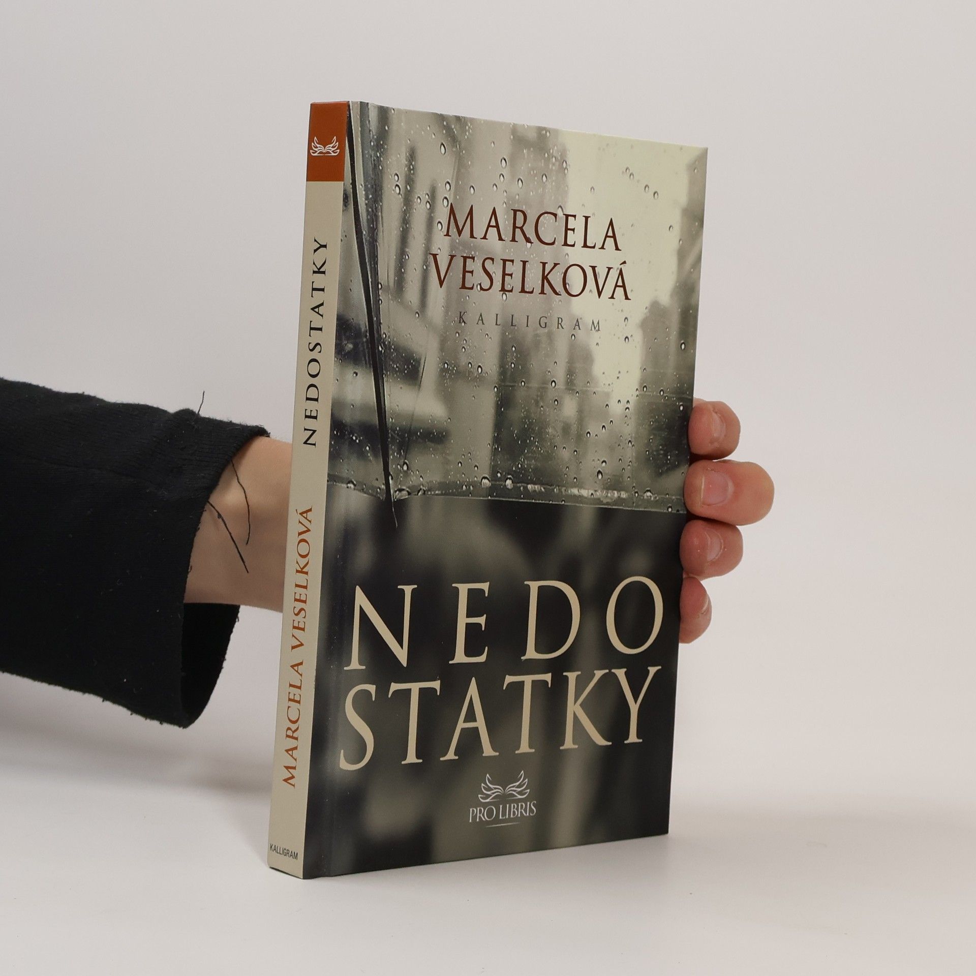 Marcela Veselková Nedostatky