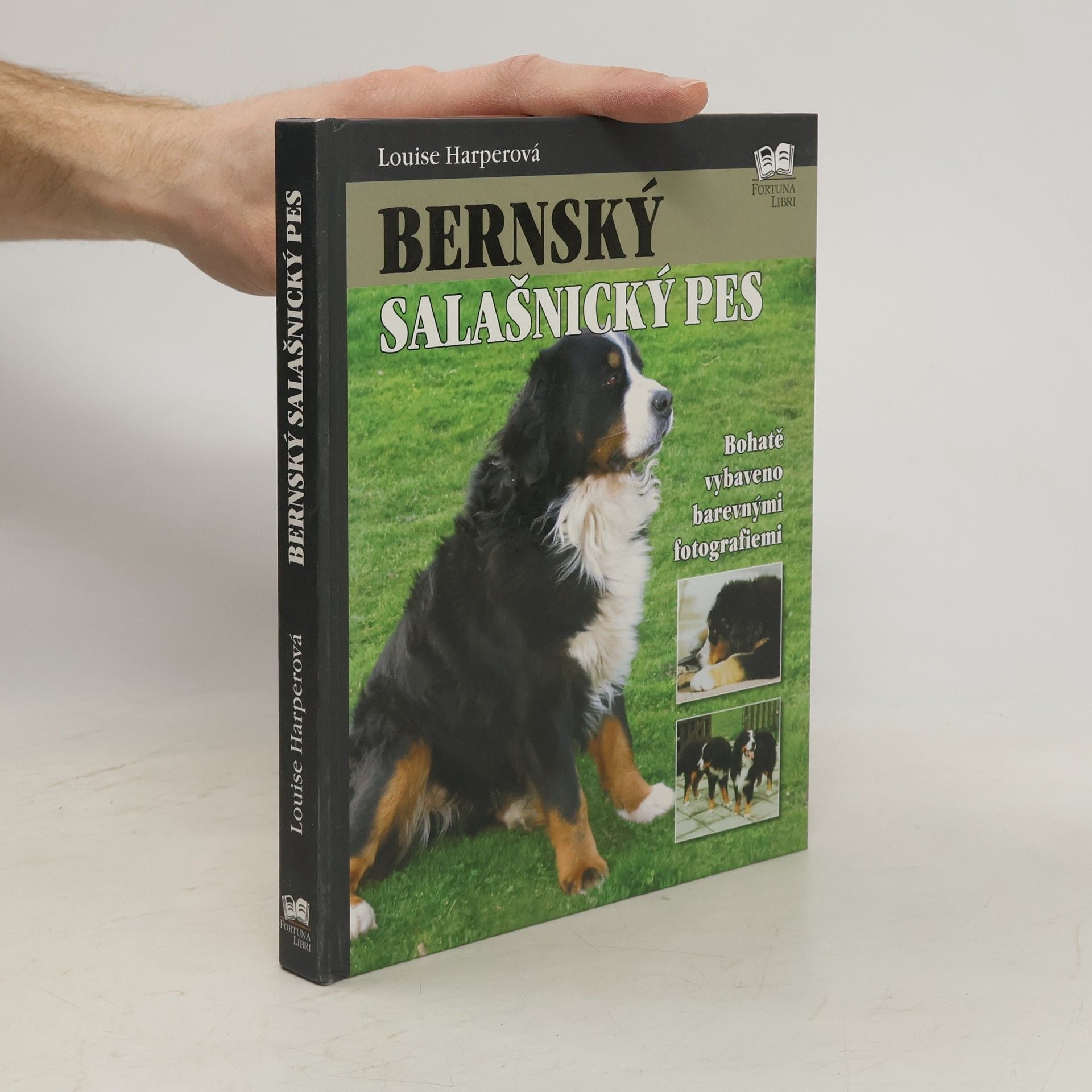 Louise Harper Bernský salašnický pes