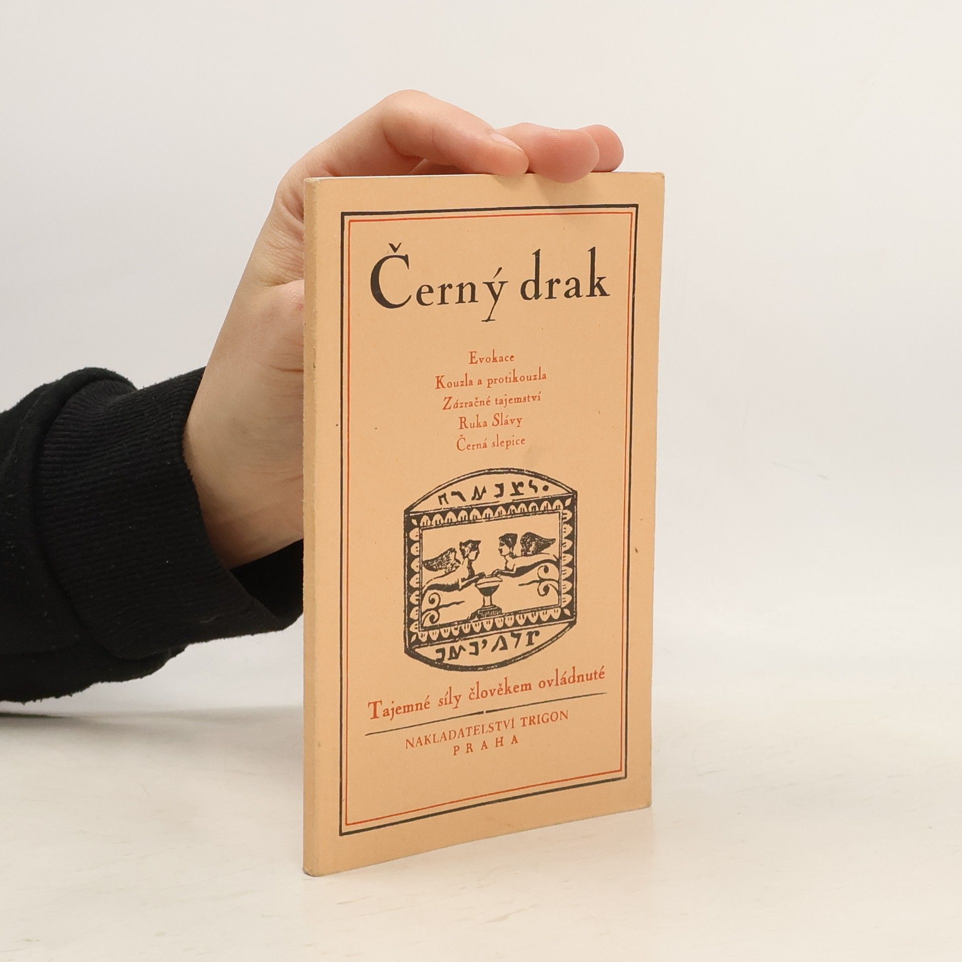 Autorenkollektiv Černý drak. Tajemné síly člověkem ovládnuté