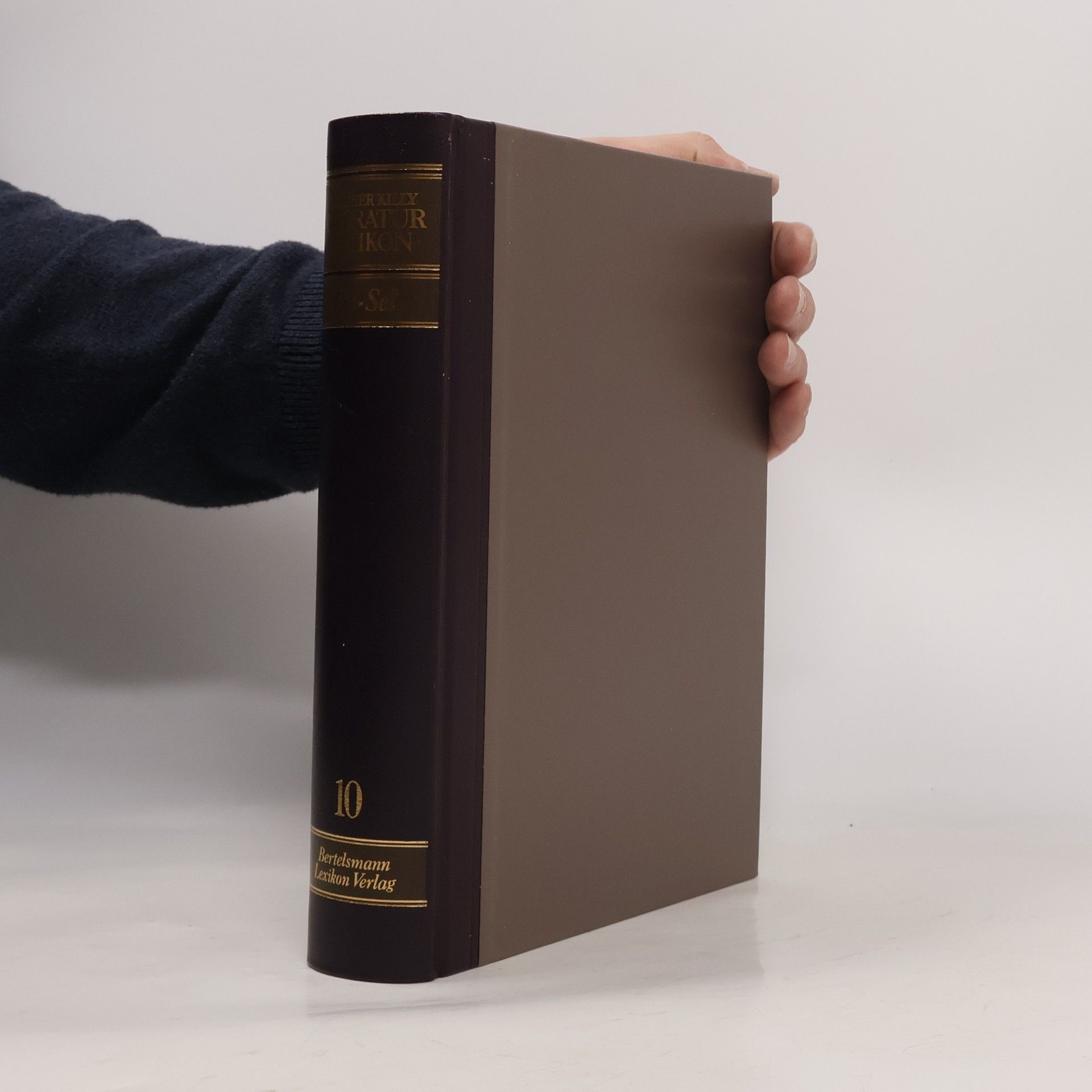 Various authors Literatur Lexikon 10