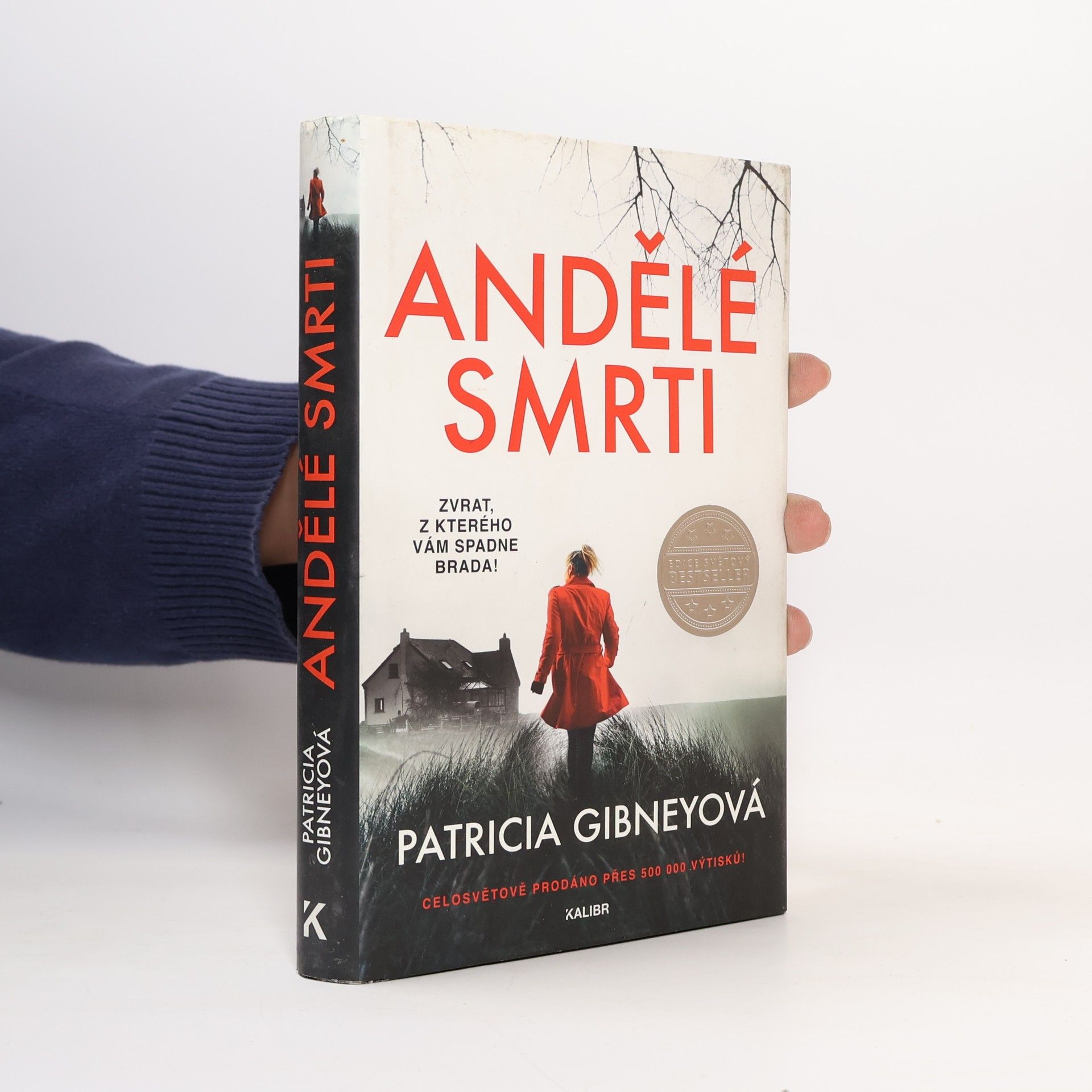 Patricia Gibney Andělé smrti