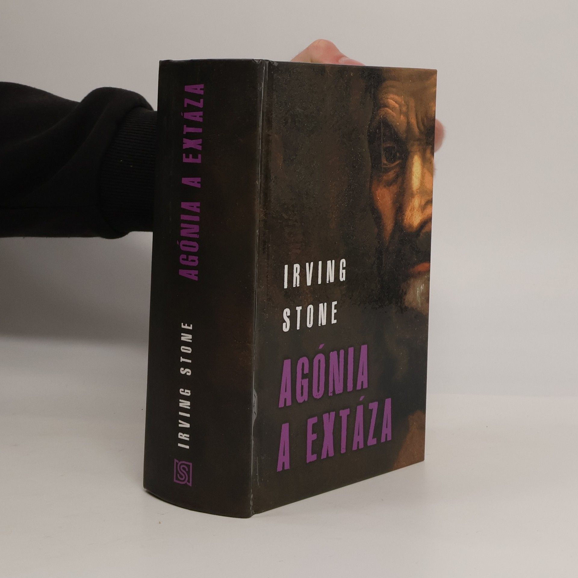 Irving Stone Agónia a extáza