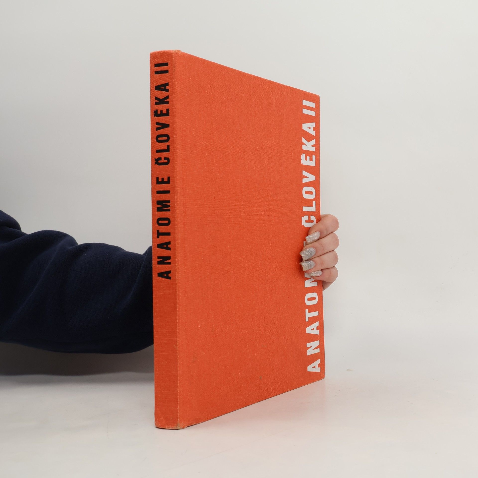 Anatomie člověka II