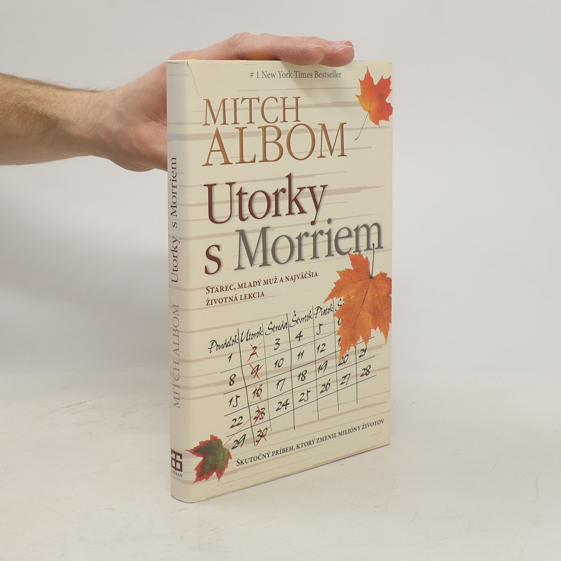 Mitch Albom Utorky s Morriem