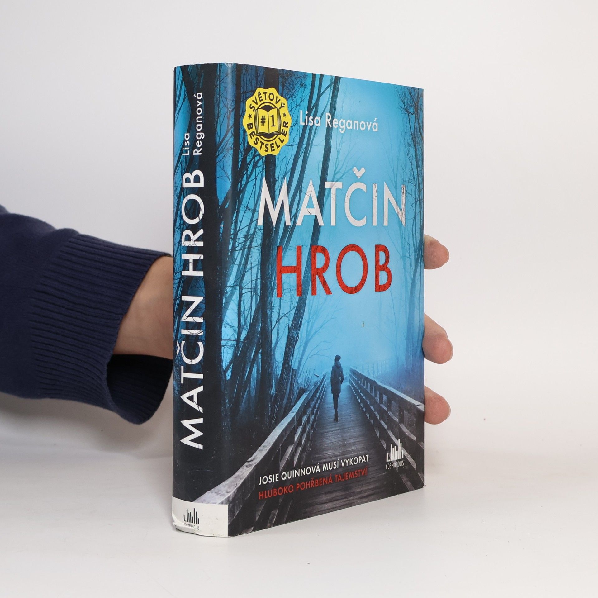 Lisa Regan Matčin hrob