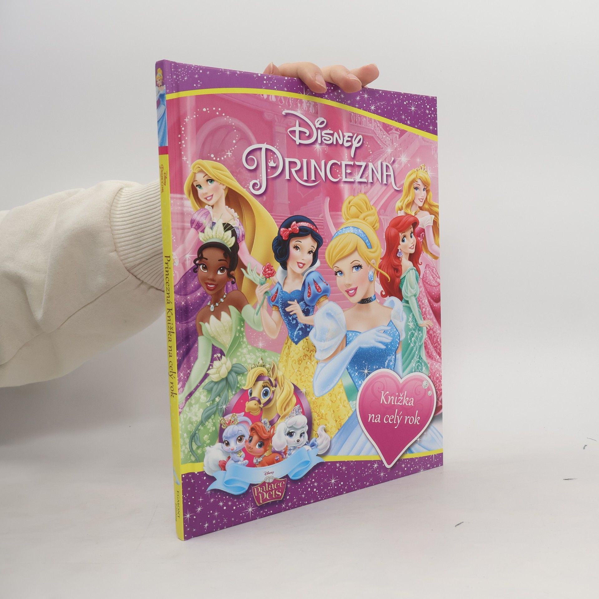 Kolektiv autorů Princezná