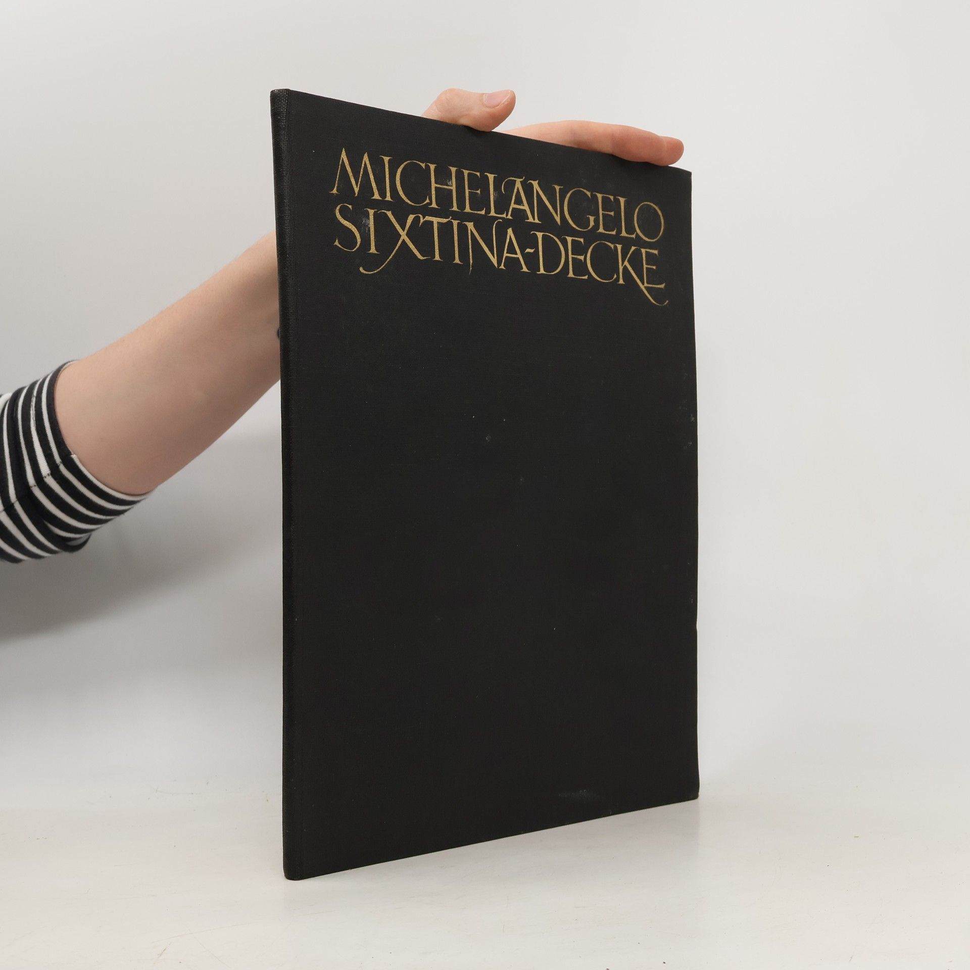 Richard Hoffmann Michelangelo