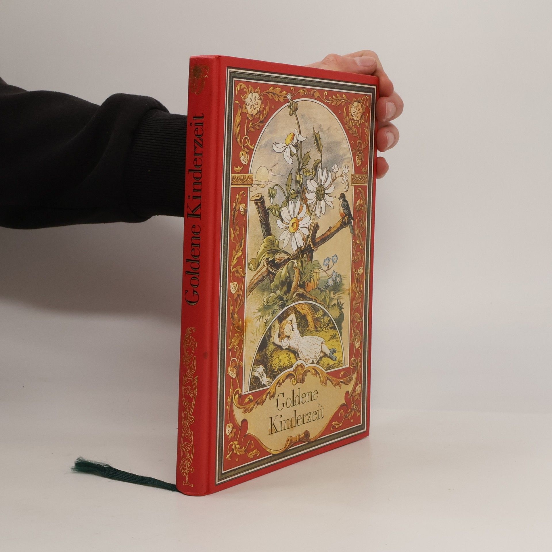 Kolektív autorov Goldene Kinderzeit