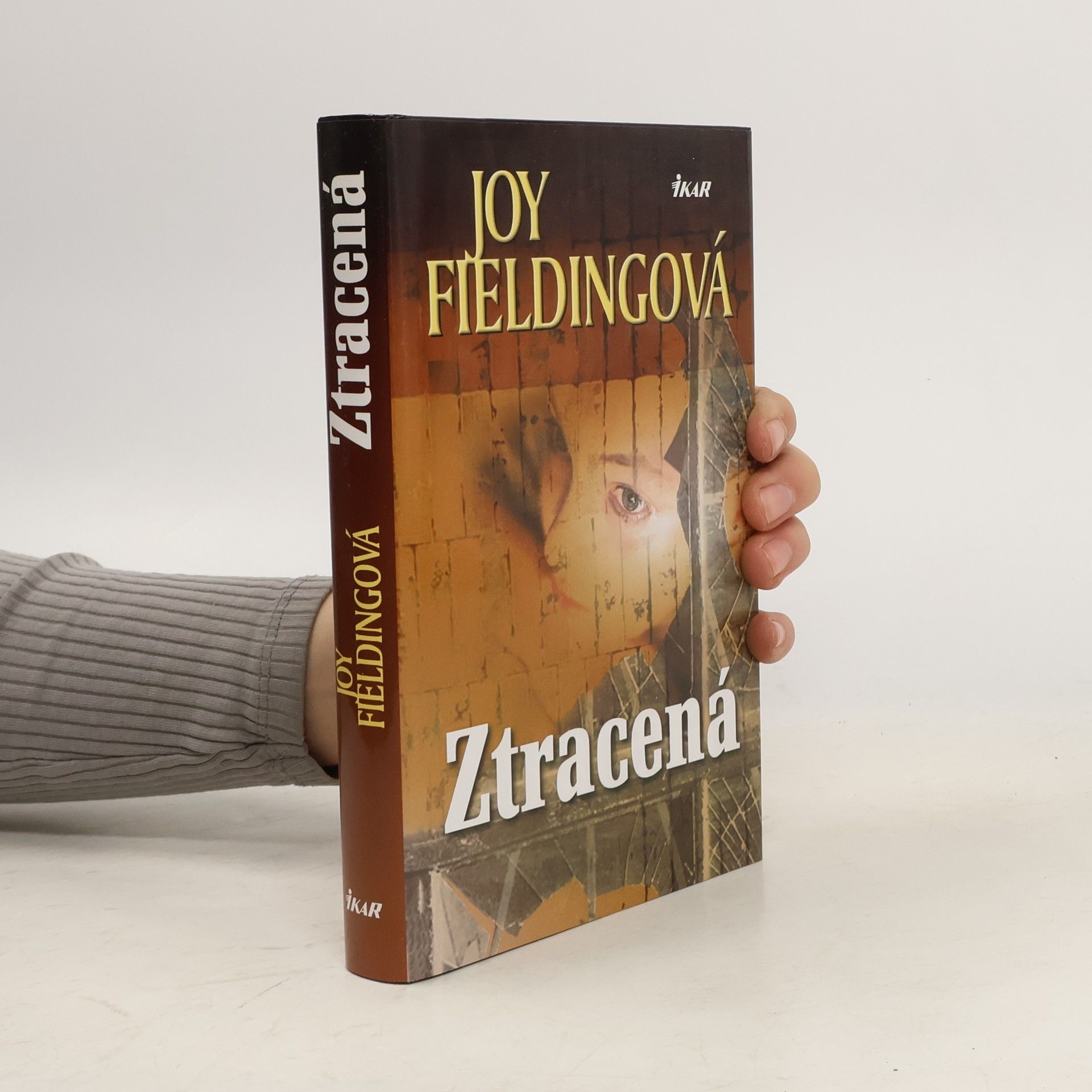 Joy Fielding Ztracená