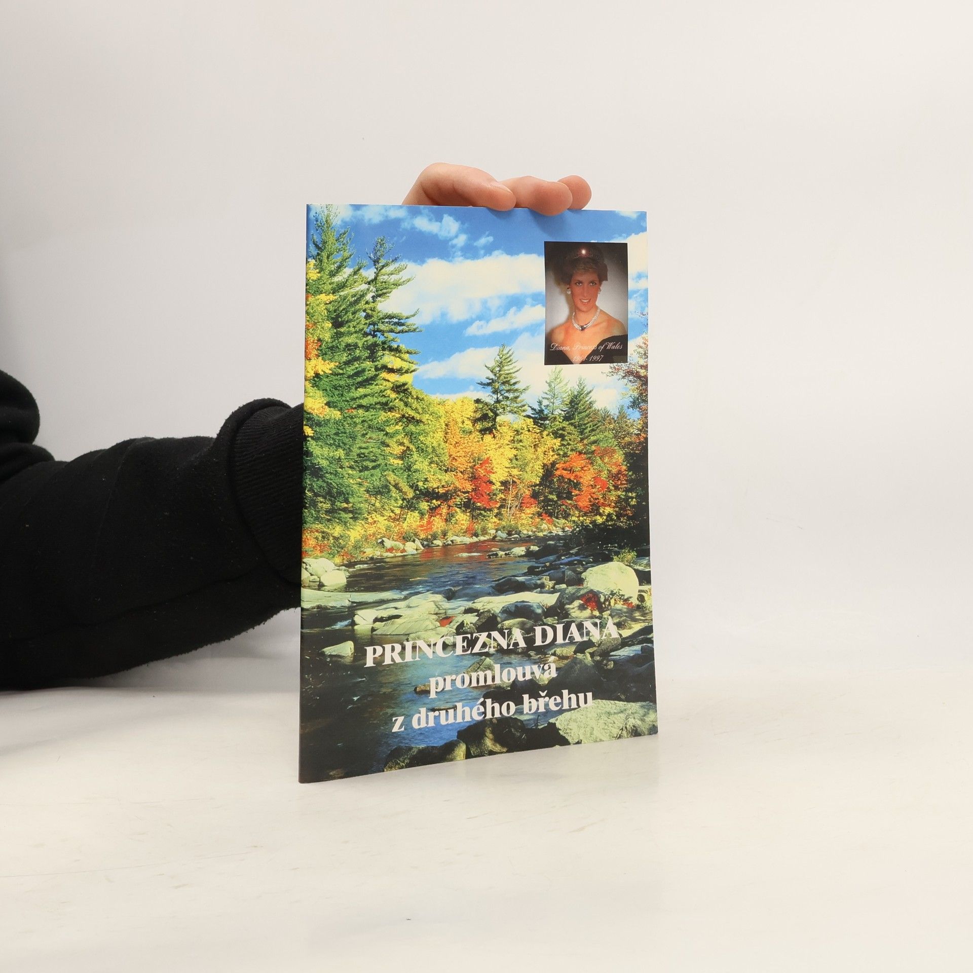 Autorenkollektiv Princezna Diana promlouvá z druhého břehu
