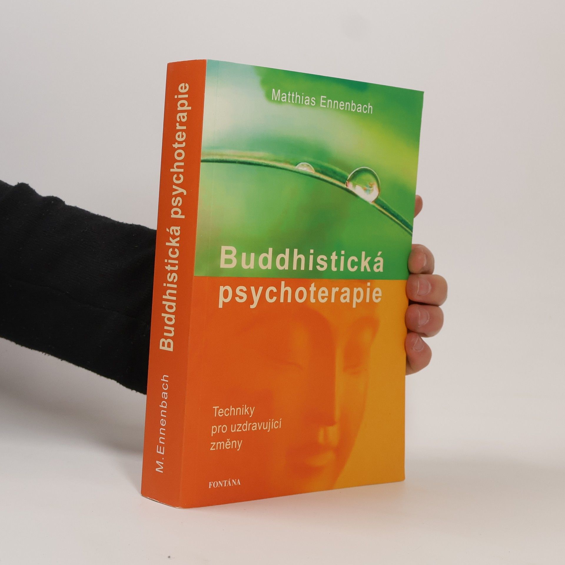 Matthias Ennenbach Buddhistická psychoterapie - Techniky pro uzdravující změny