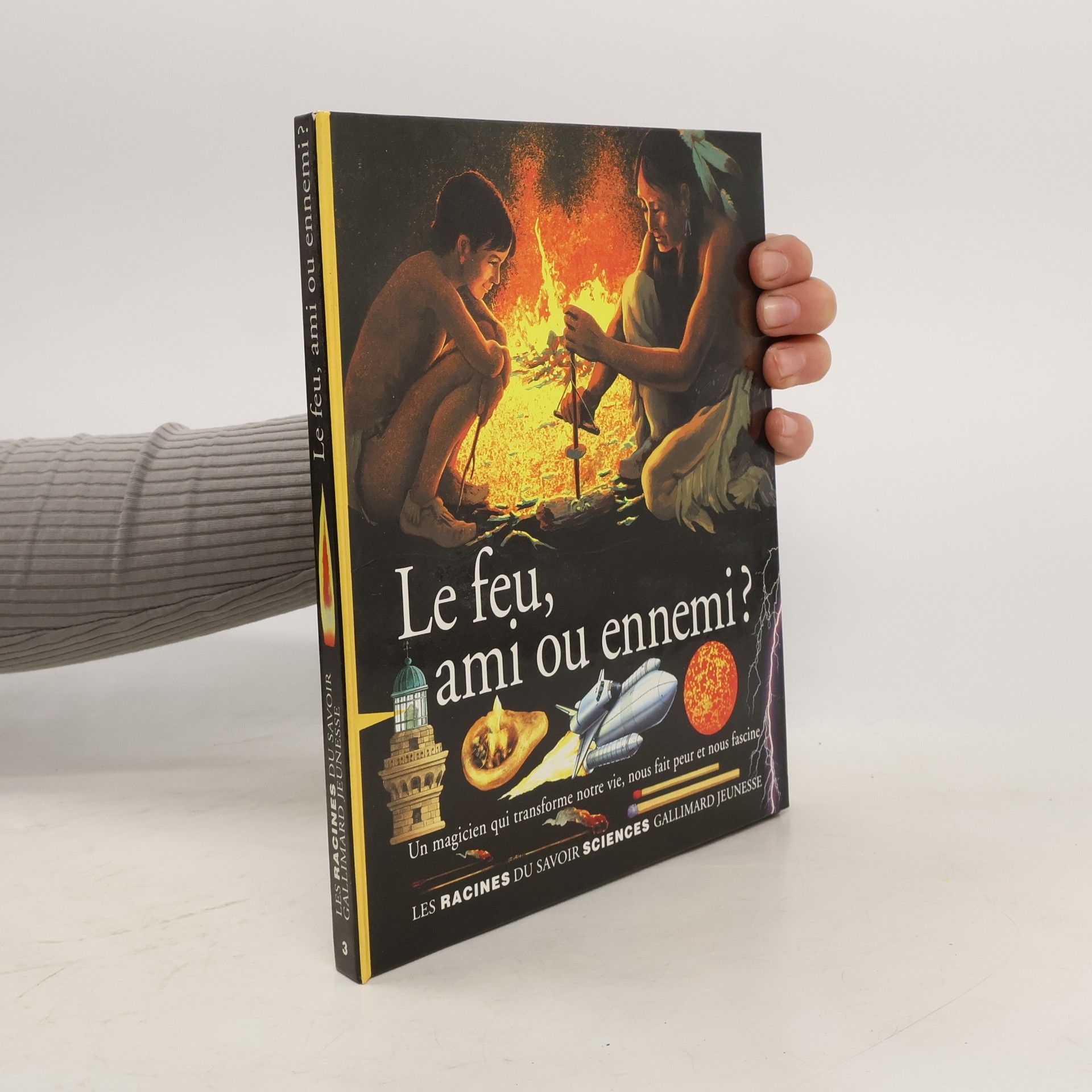 Diane Costa de Beauregard Le feu, ami ou ennemi?