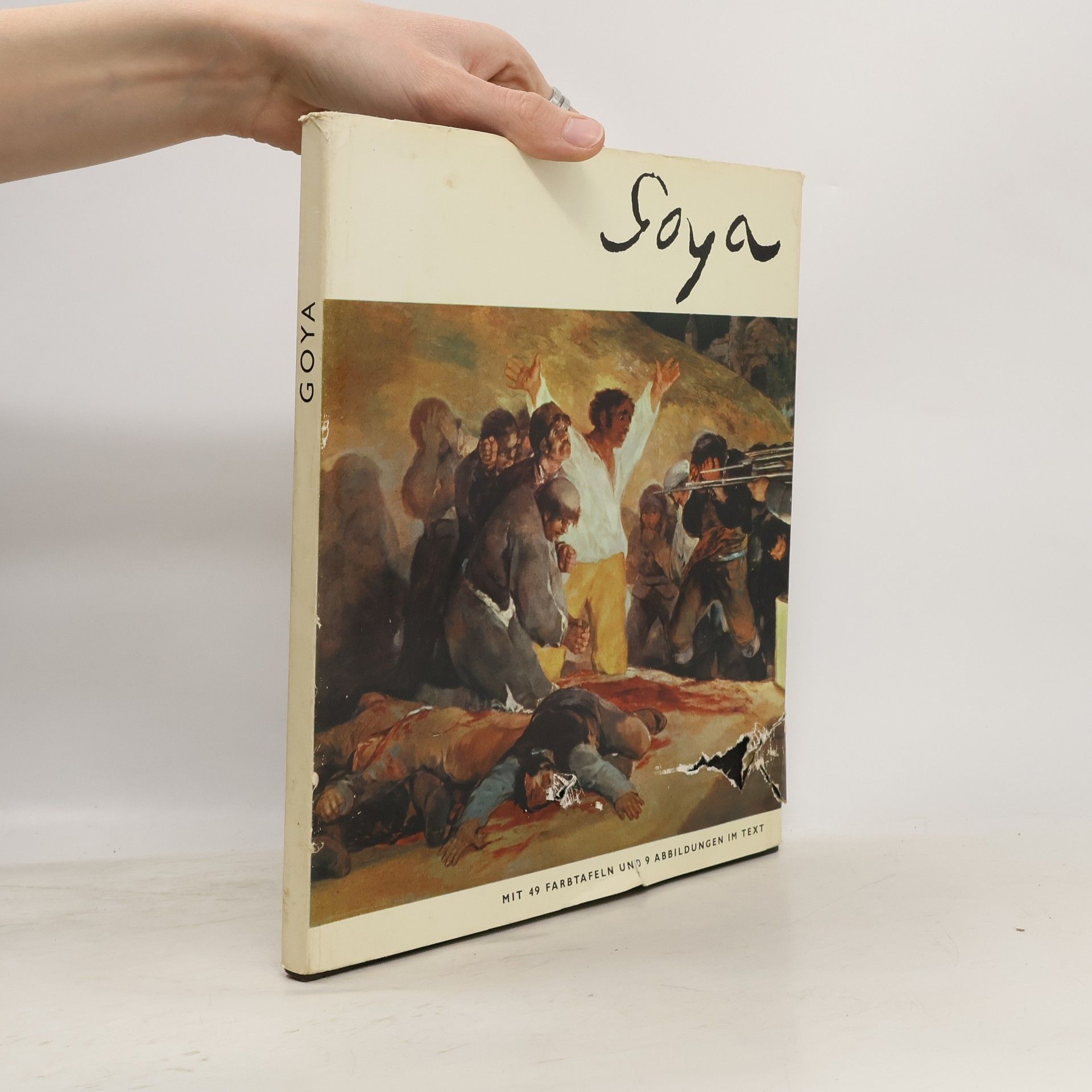 Autorenkollektiv Goya