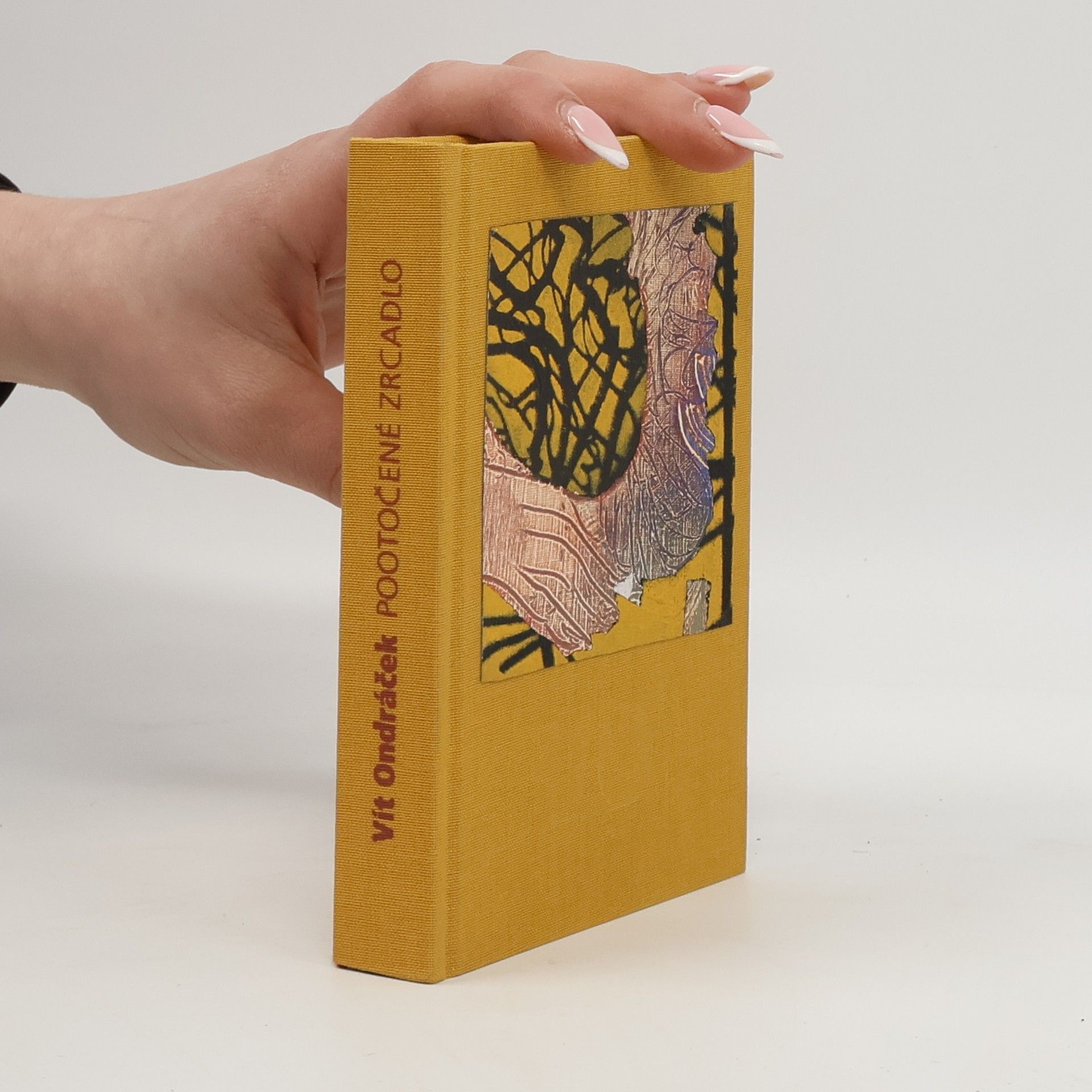 Vít Ondráček Pootočené zrcadlo