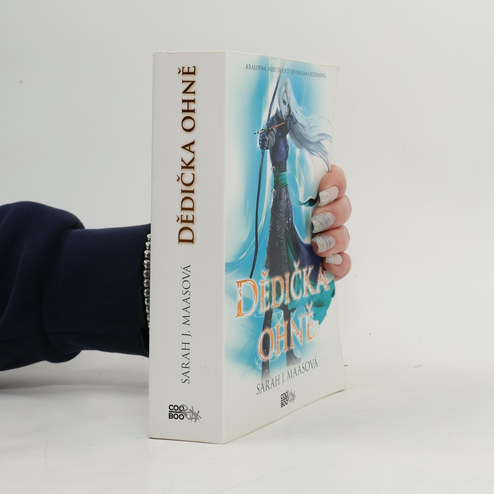 Sarah J. Maas Dědička ohně