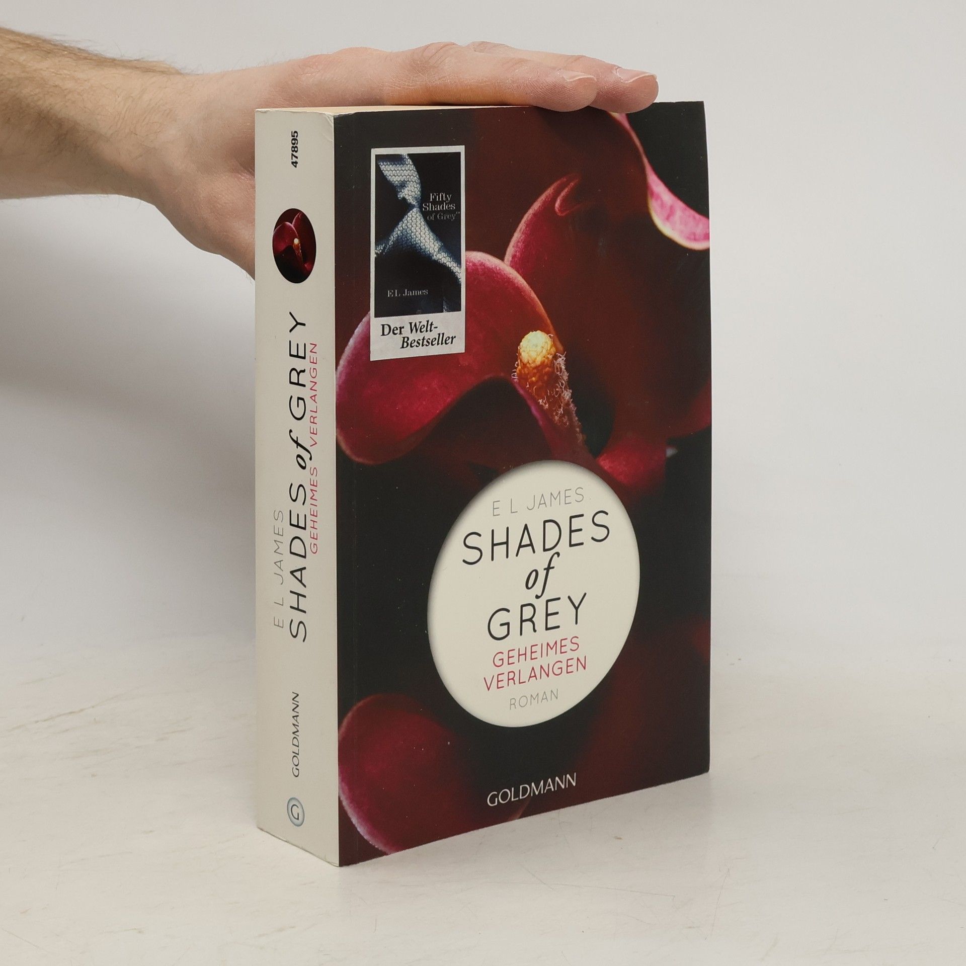 Shades of Grey. Geheimes Verlangen