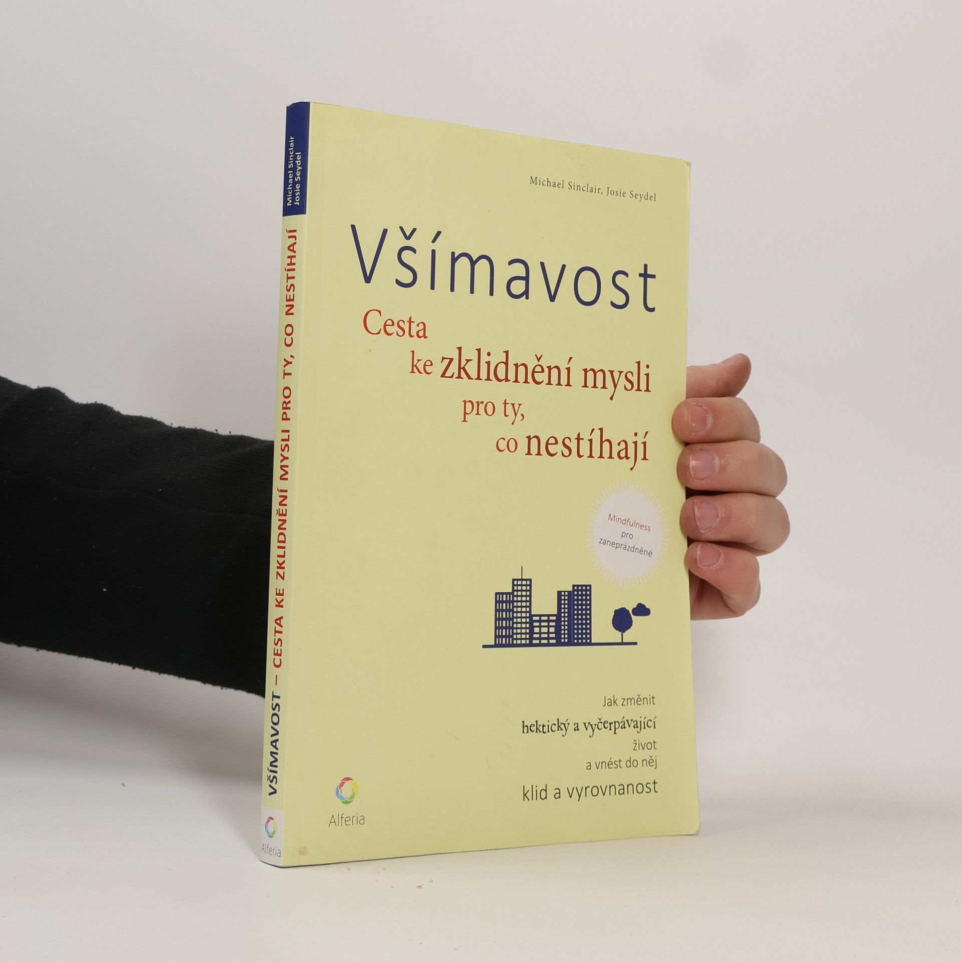 Michael Sinclair Všímavost