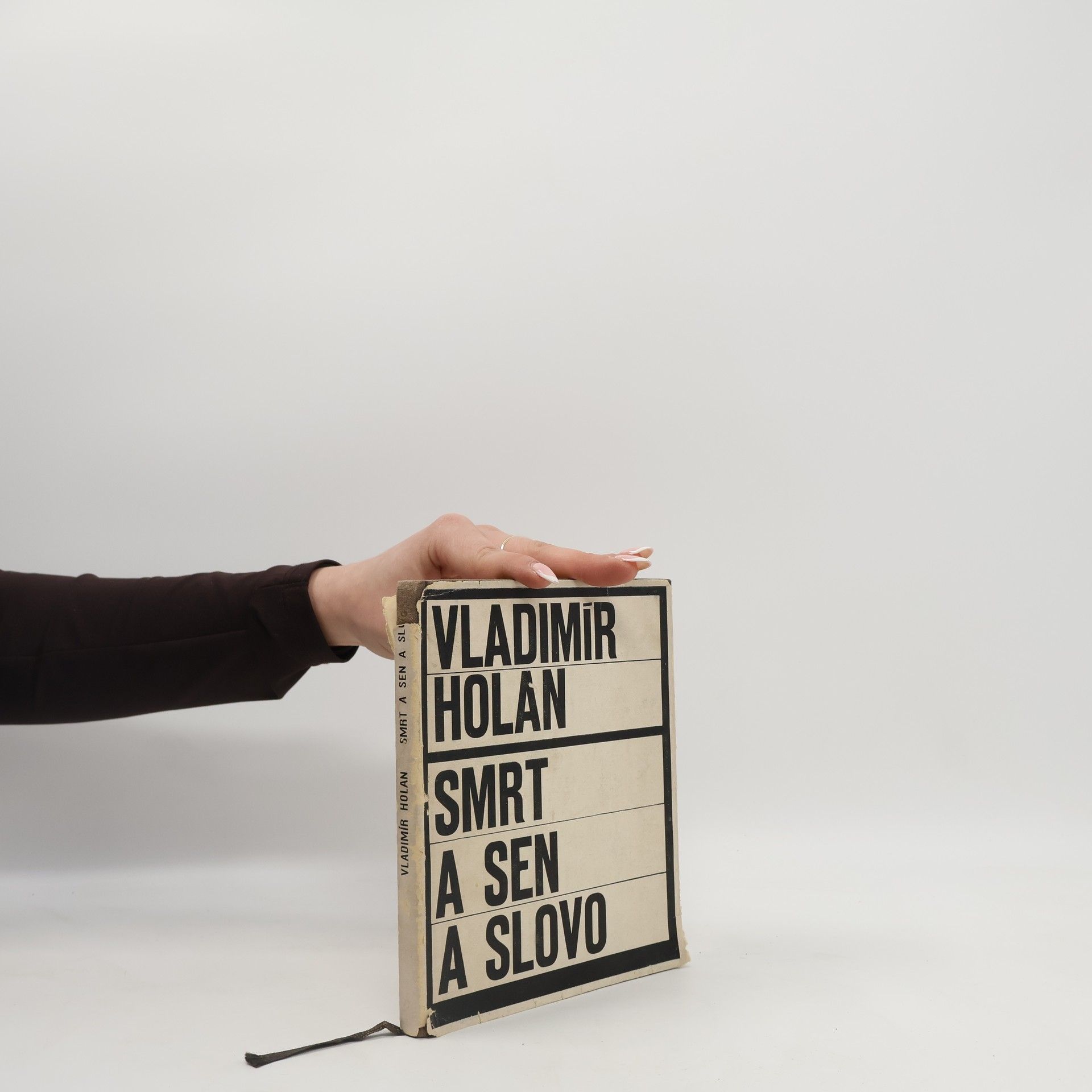 Vladimír Holan Smrt a sen a slovo. Z Máchova kraje