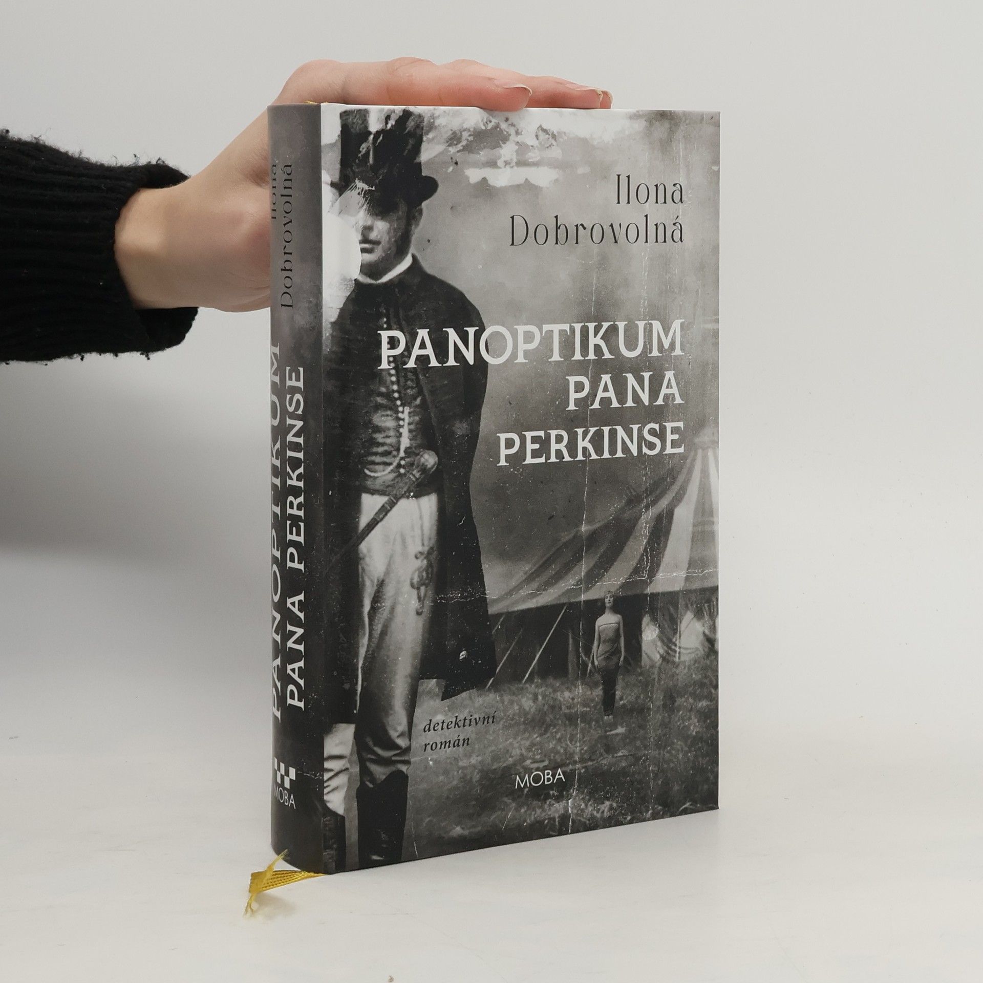 Ilona Dobrovolná Panoptikum pana Perkinse