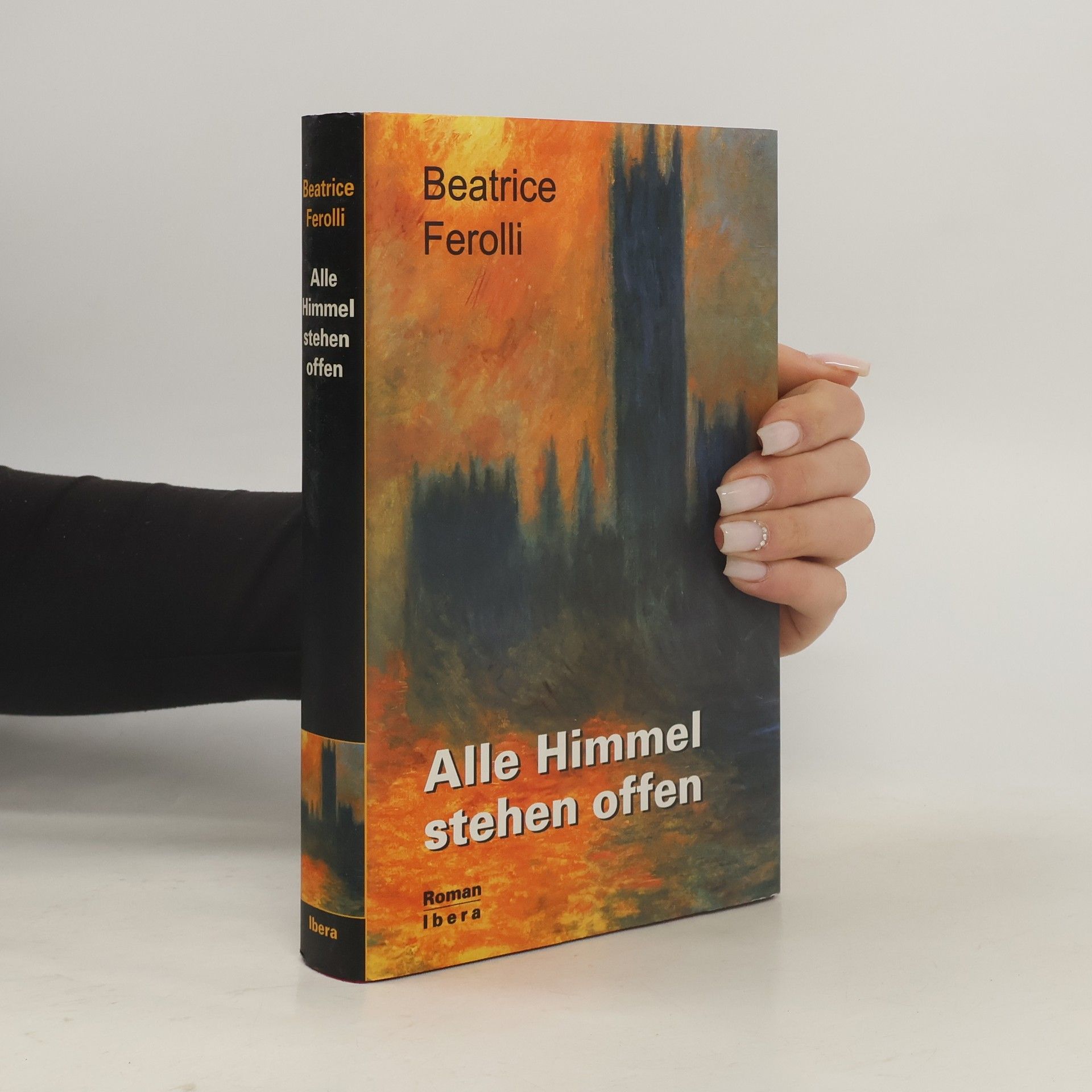 Alle Himmel stehen offen. Roman