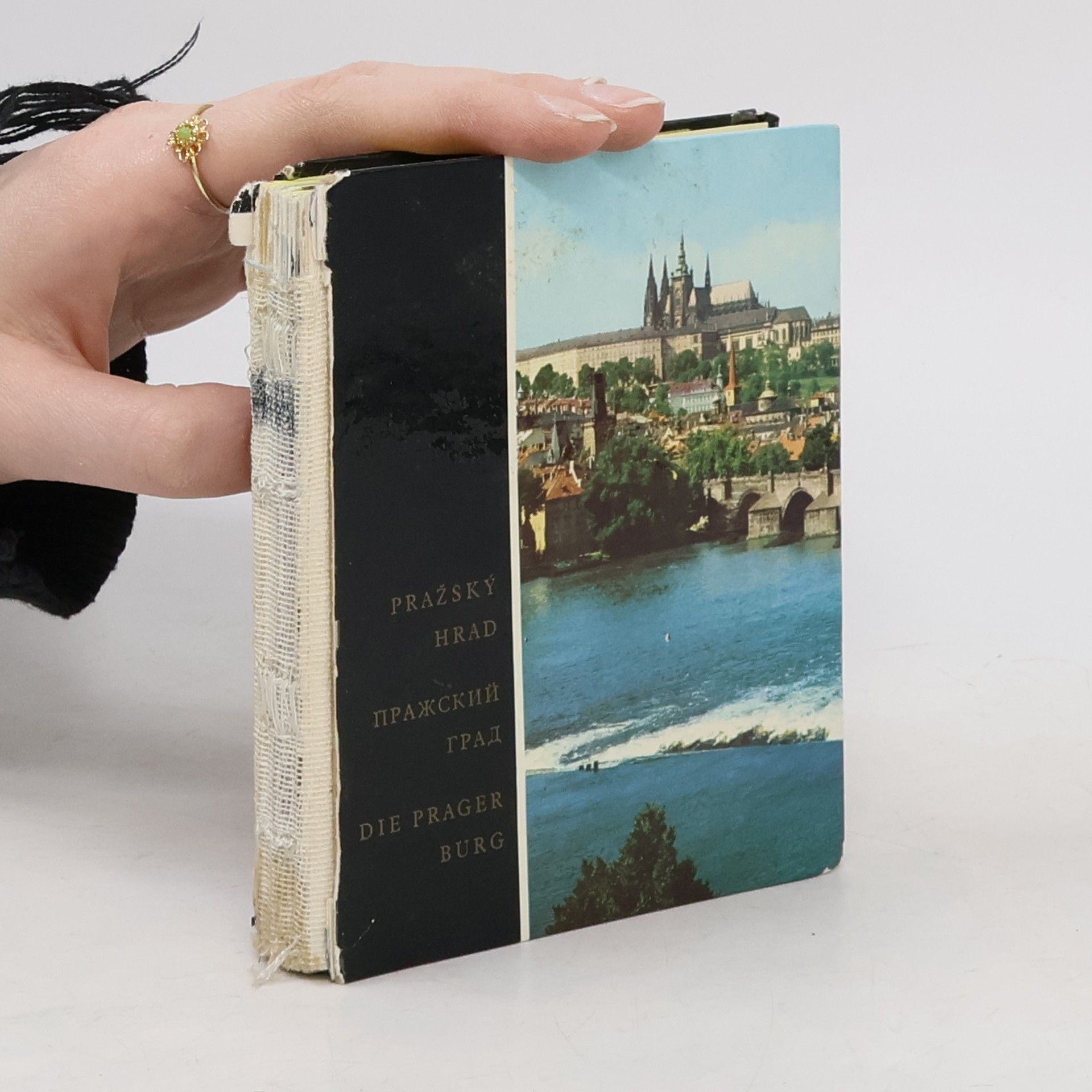 Erich Einhorn Pražský hrad. Pražskij grad. Die Prager Burg