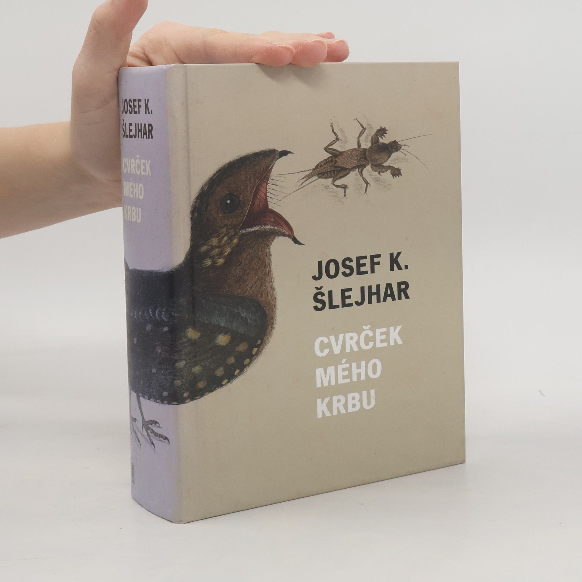 Josef Karel Šlejhar Cvrček mého krbu