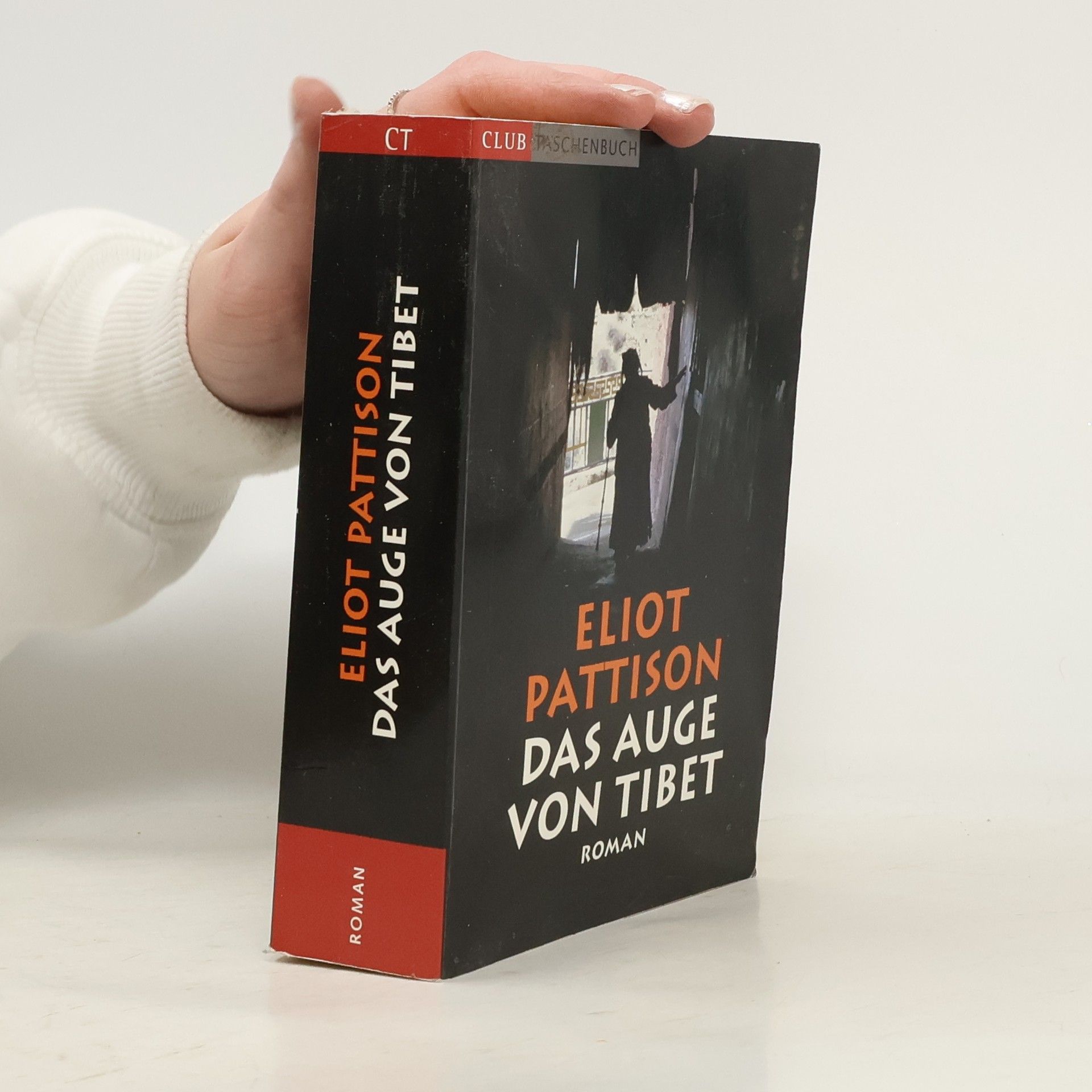 Eliot Pattison Das Auge von Tibet