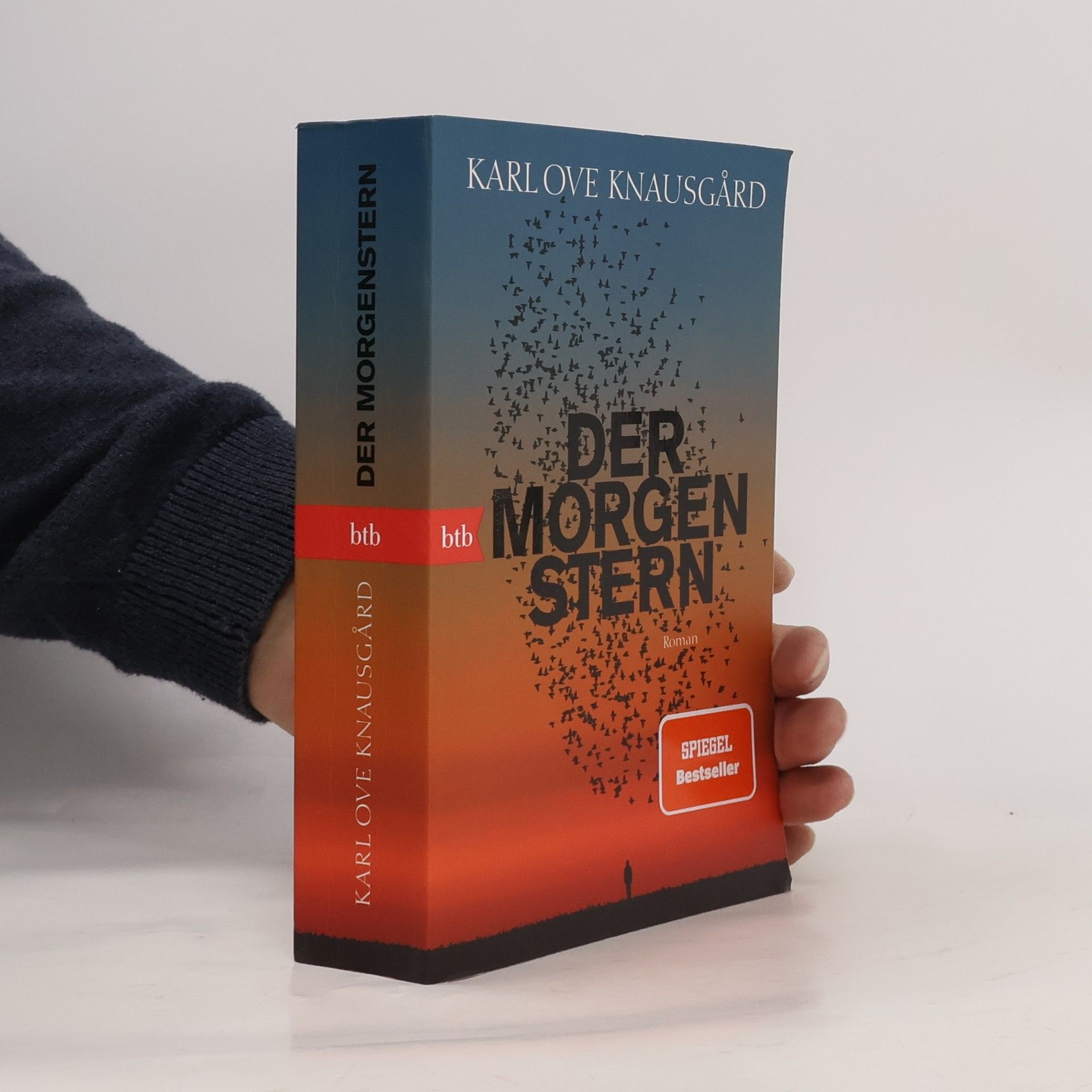 Karl Ove Knausgaard Der Morgenstern