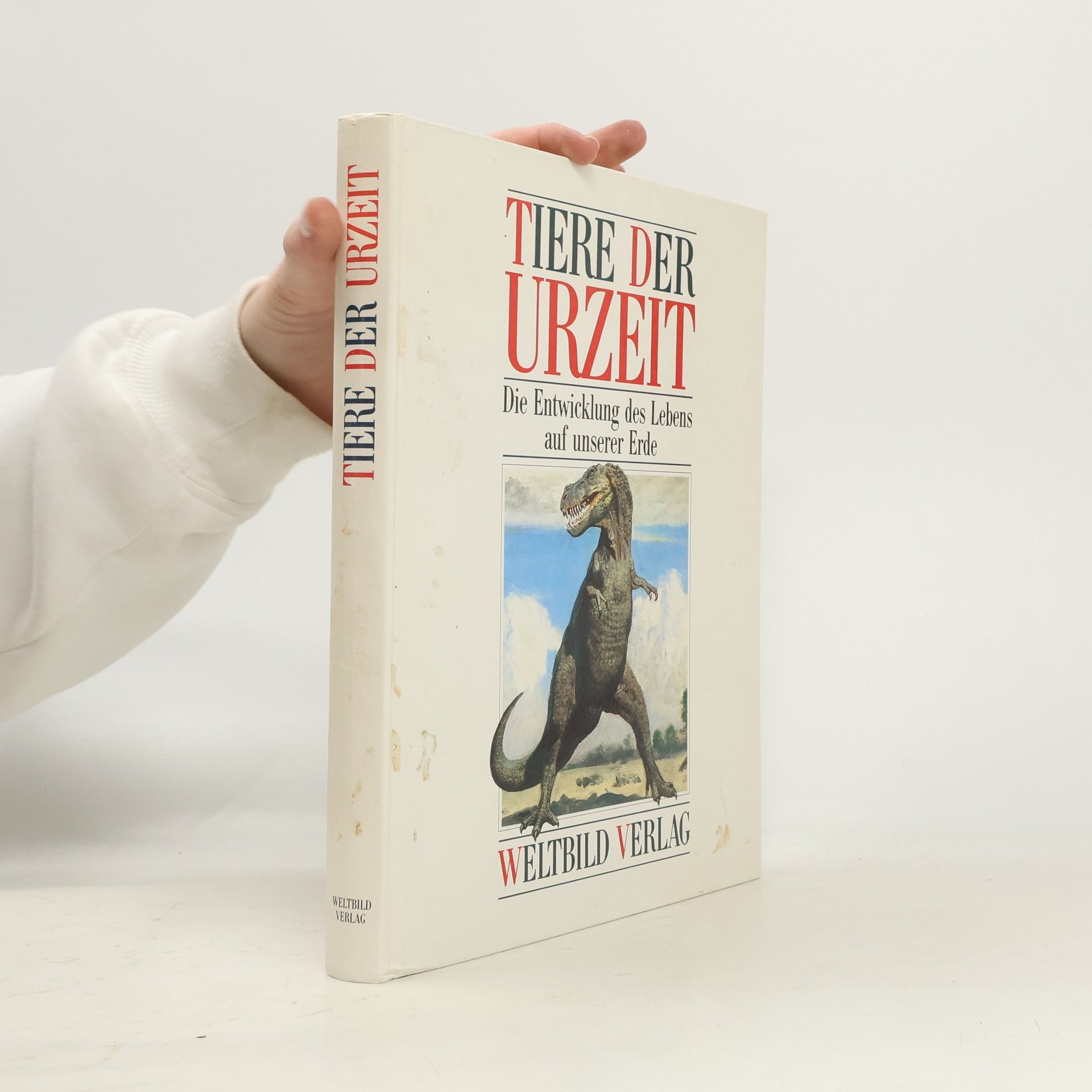 Autorenkollektiv Tiere der Urzeit