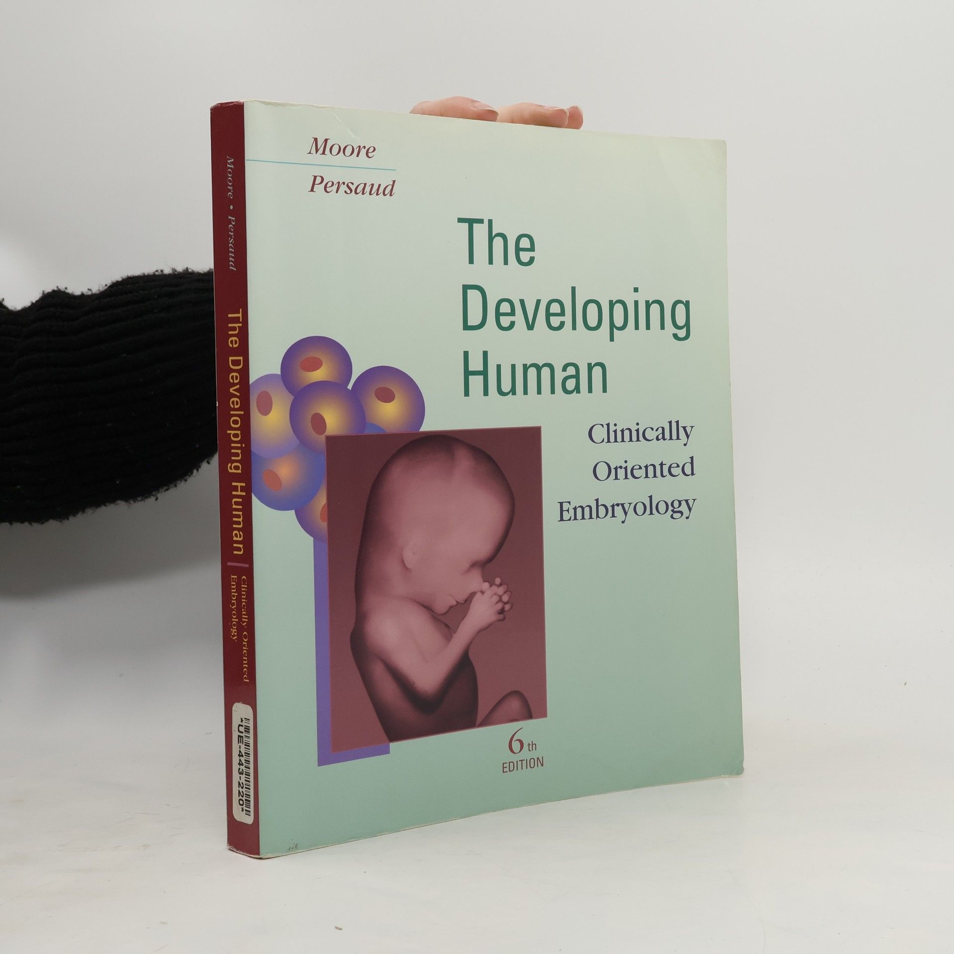 Keith L Moore The Developing Human