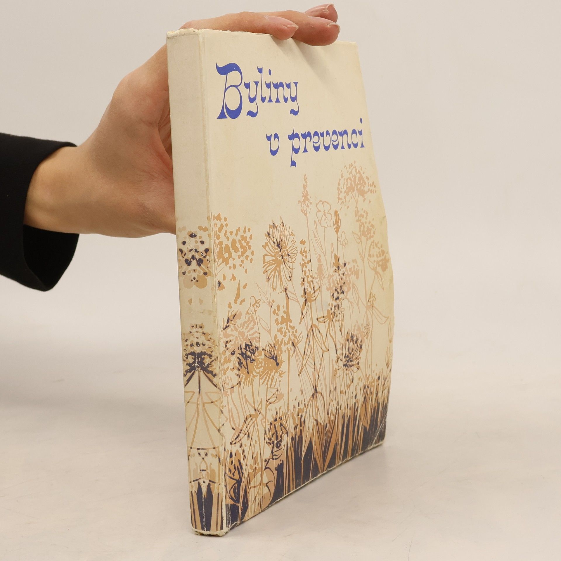 Josef Antonín Zentrich Byliny v prevenci I.