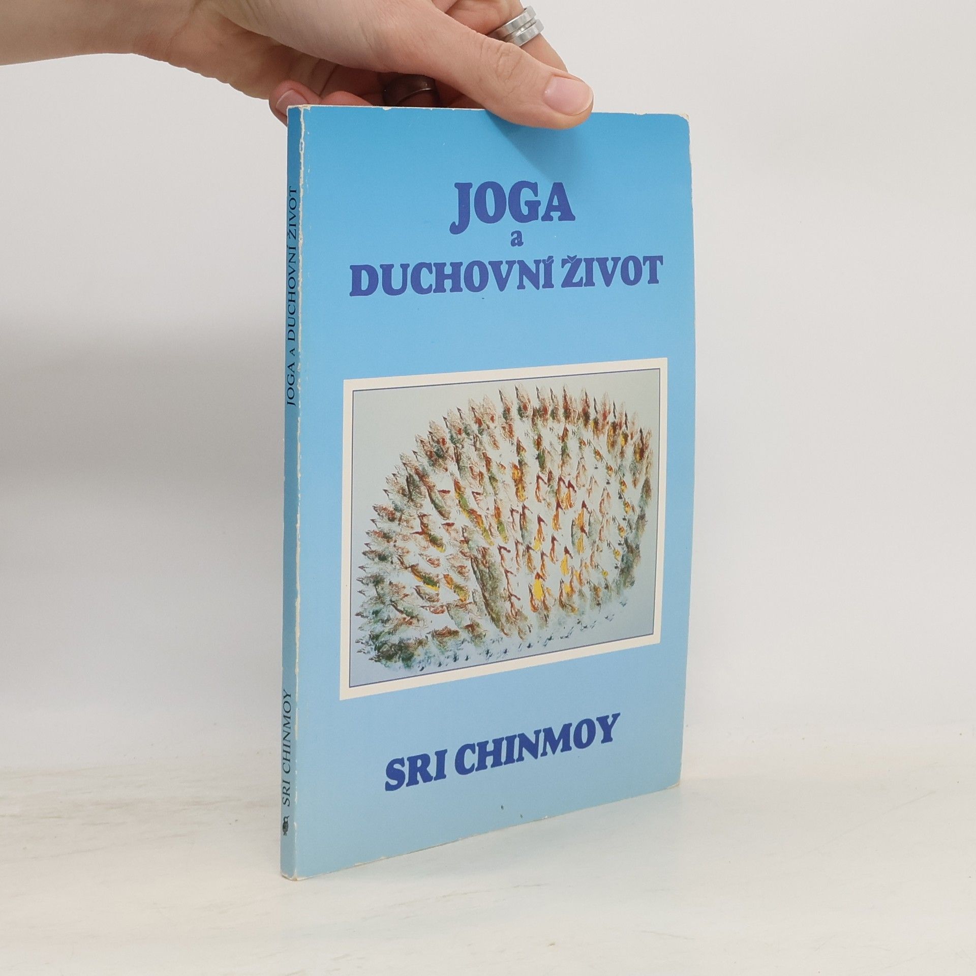 Chinmoy Kumar Ghose Jóga a duchovní život: Cesta indické duše