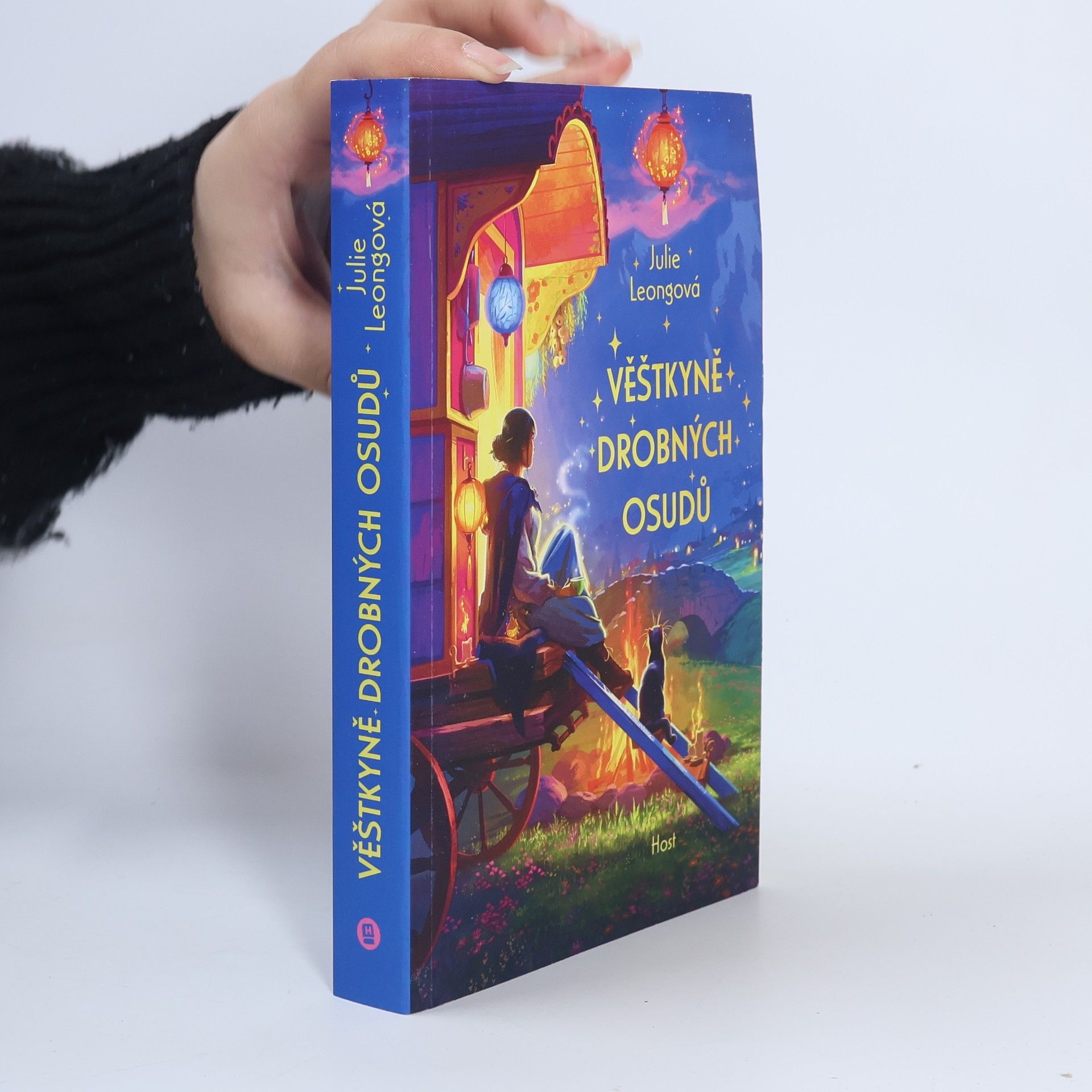 Julie Leong Věštkyně drobných osudů