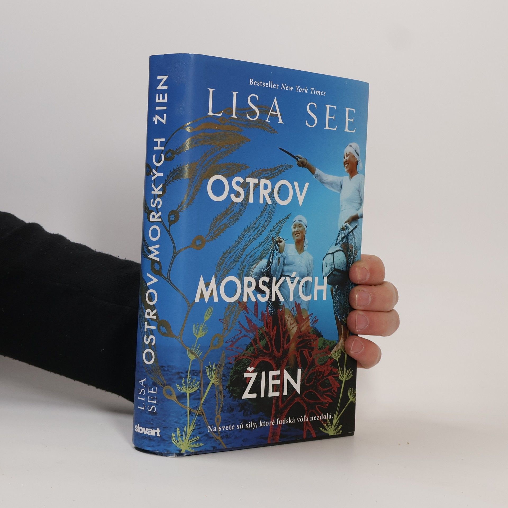 Lisa See Ostrov morských žien