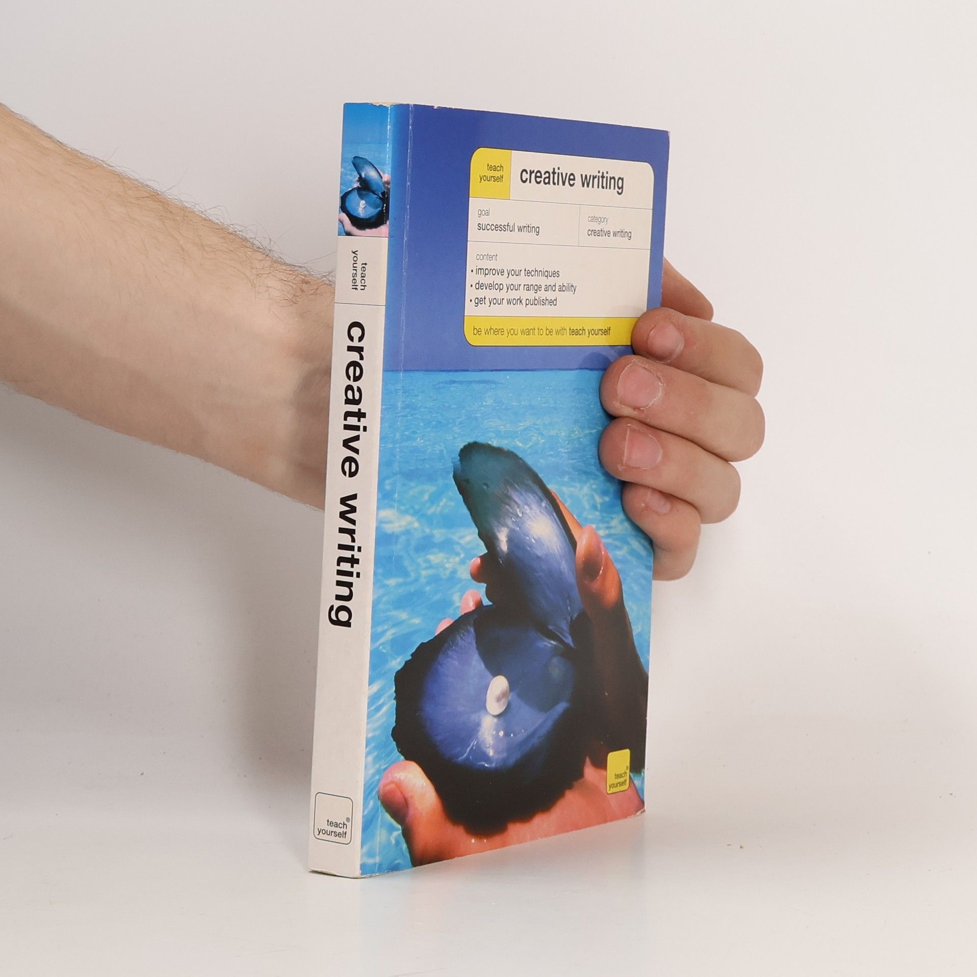 Dianne Doubtfire Teach Yourself Creative Writing