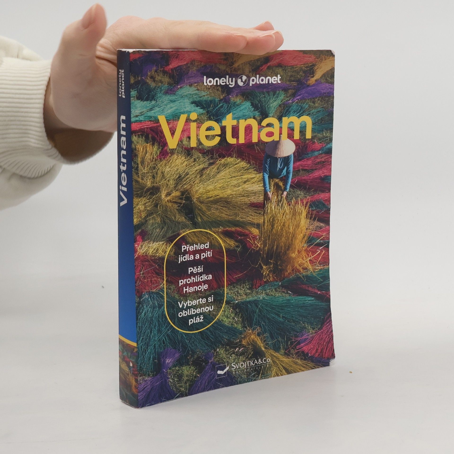 Various authors Vietnam