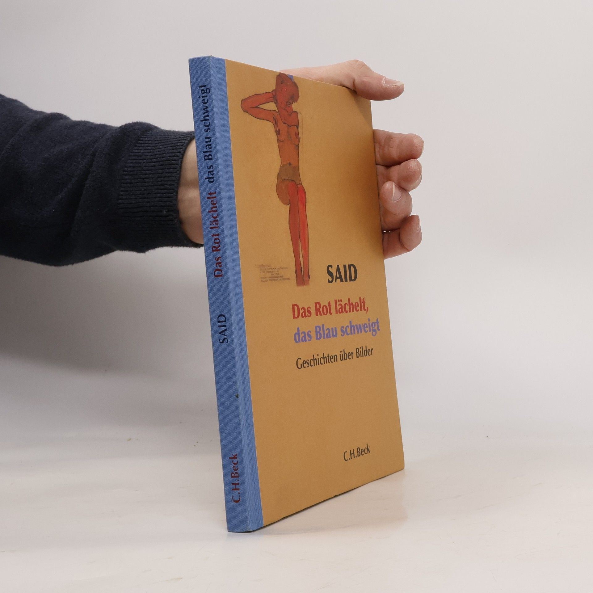 Said Mirhadi Das Rot lächelt, das Blau schweigt