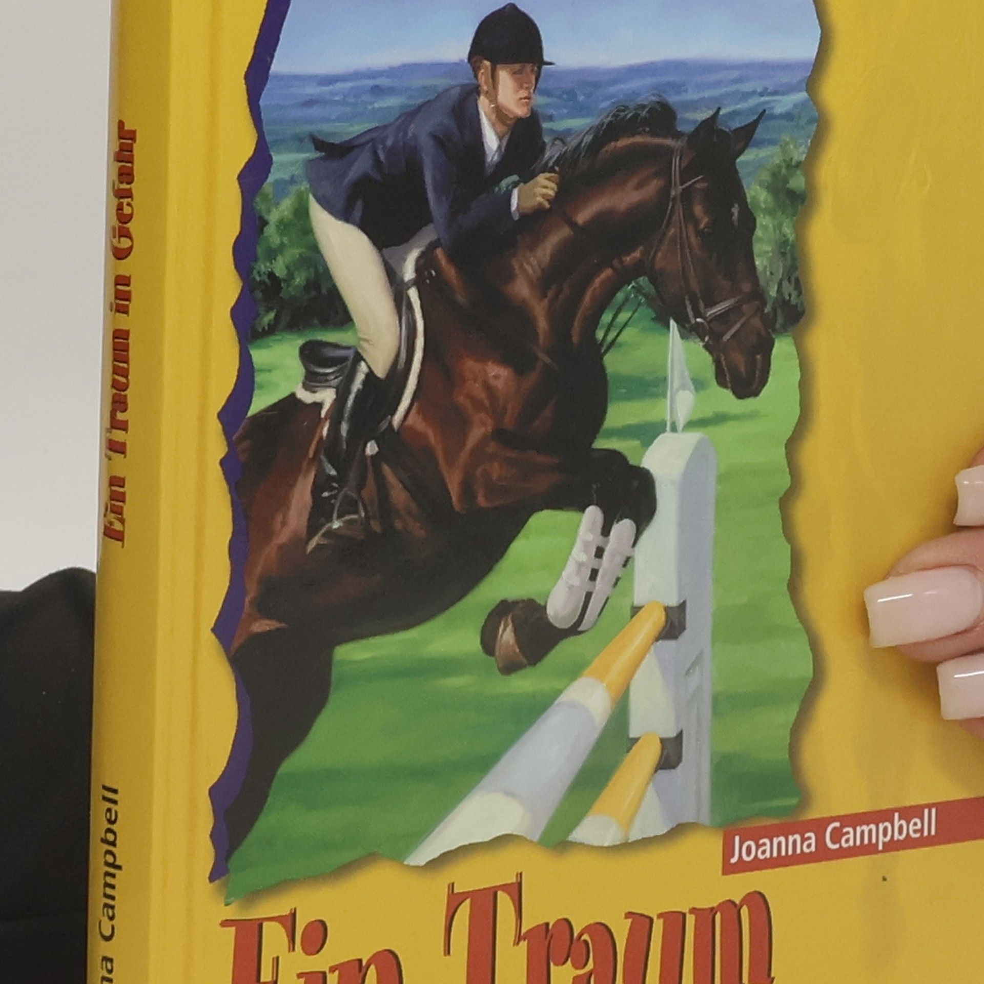 Jo Ann Simon Ein Traum in Gefahr