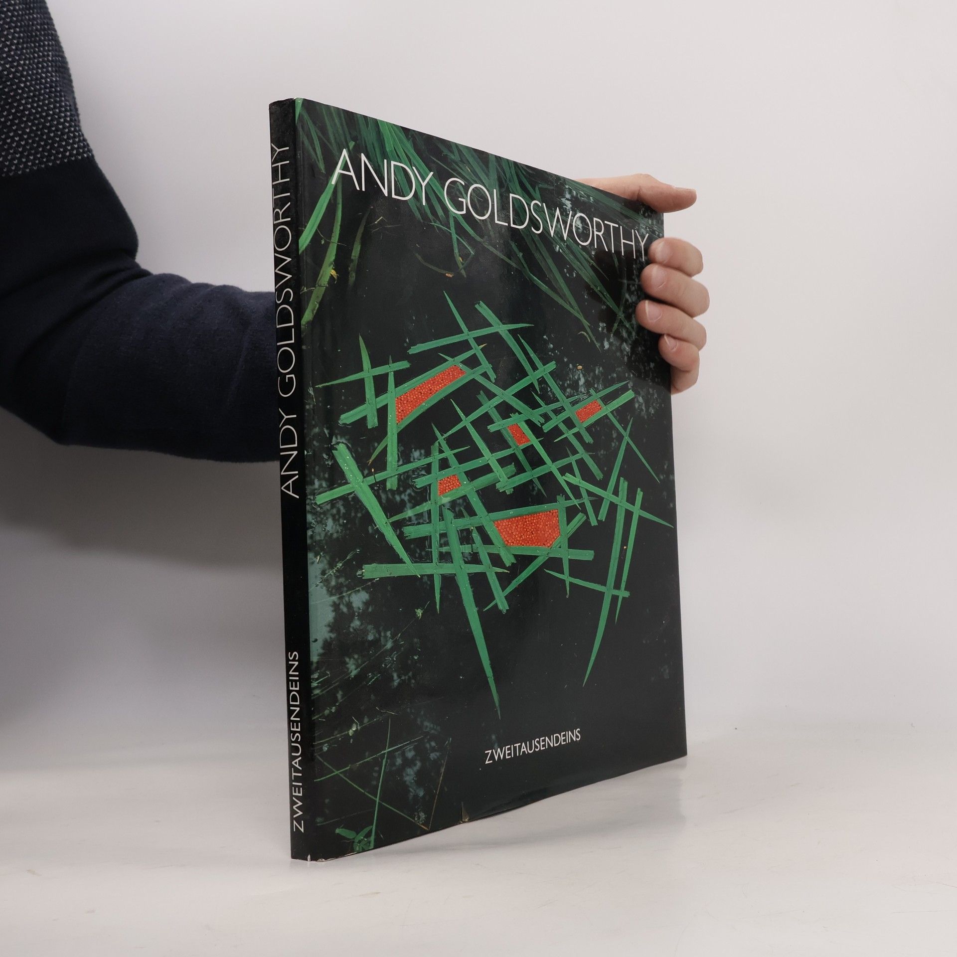 Andy Goldsworthy Zweitausendeins